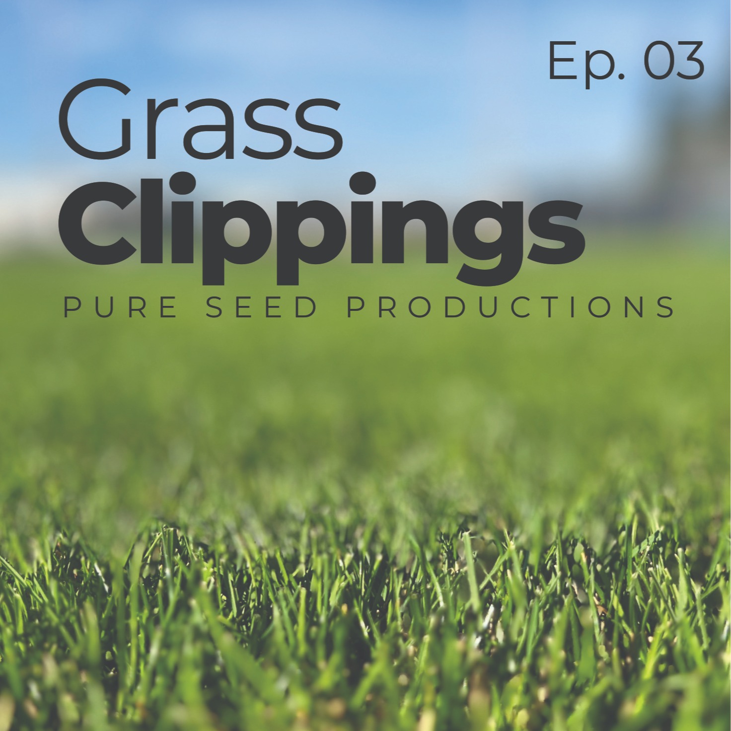 Grass Clippings