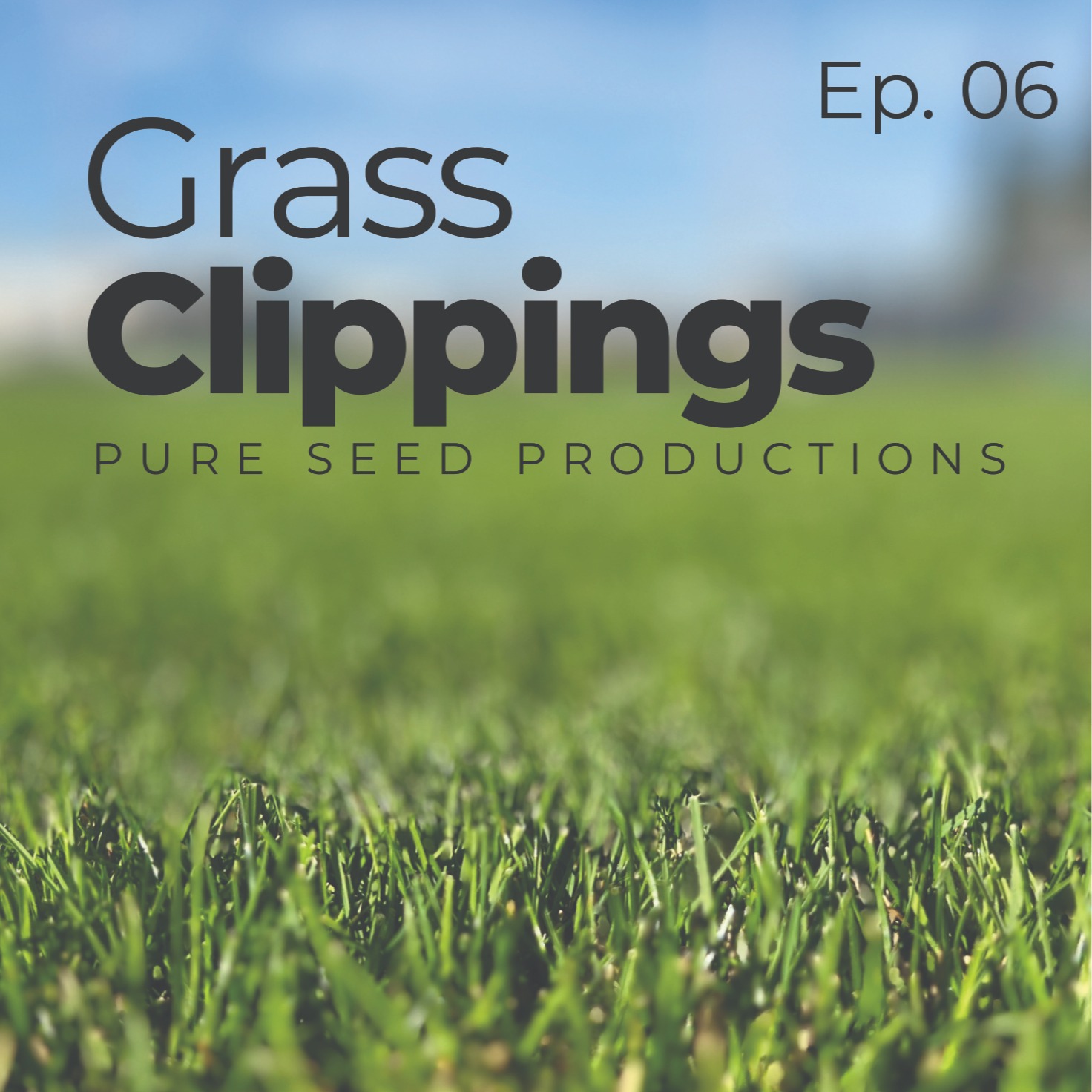 Grass Clippings