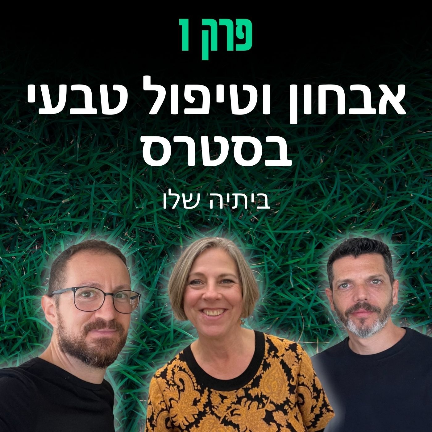 פרק 1: אבחון וטיפול טבעי בסטרס - ביתיה שלו episode artwork
