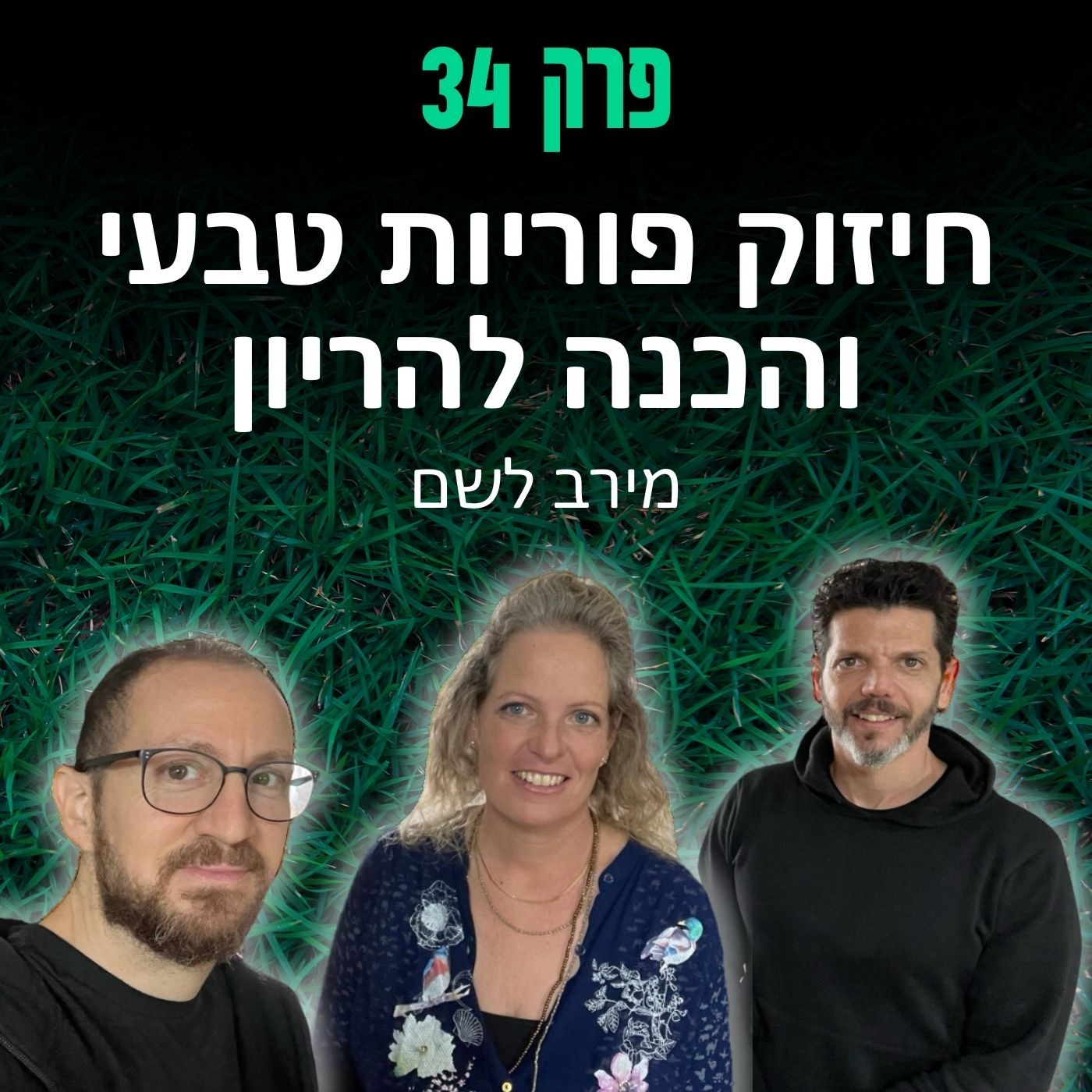 פרק 34: חיזוק פוריות טבעי והכנה להריון - מירב לשם episode artwork