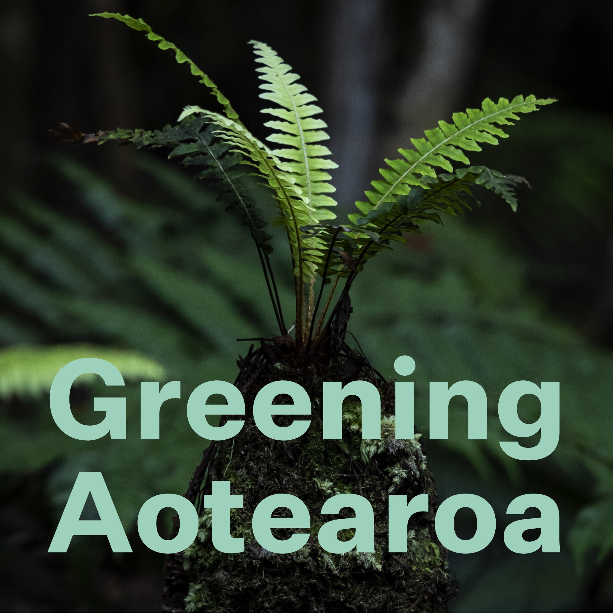 Greening Aotearoa