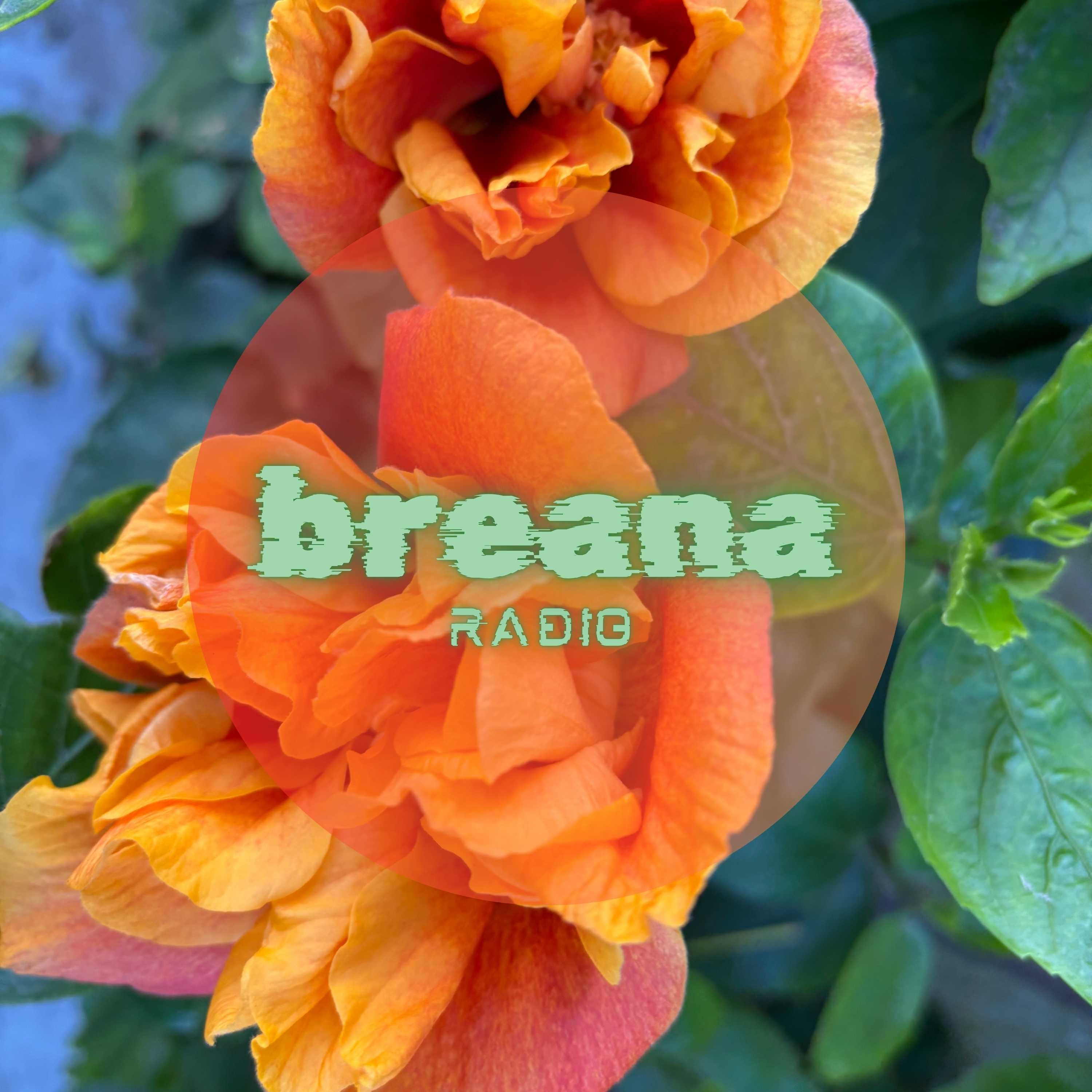breanaRADIO