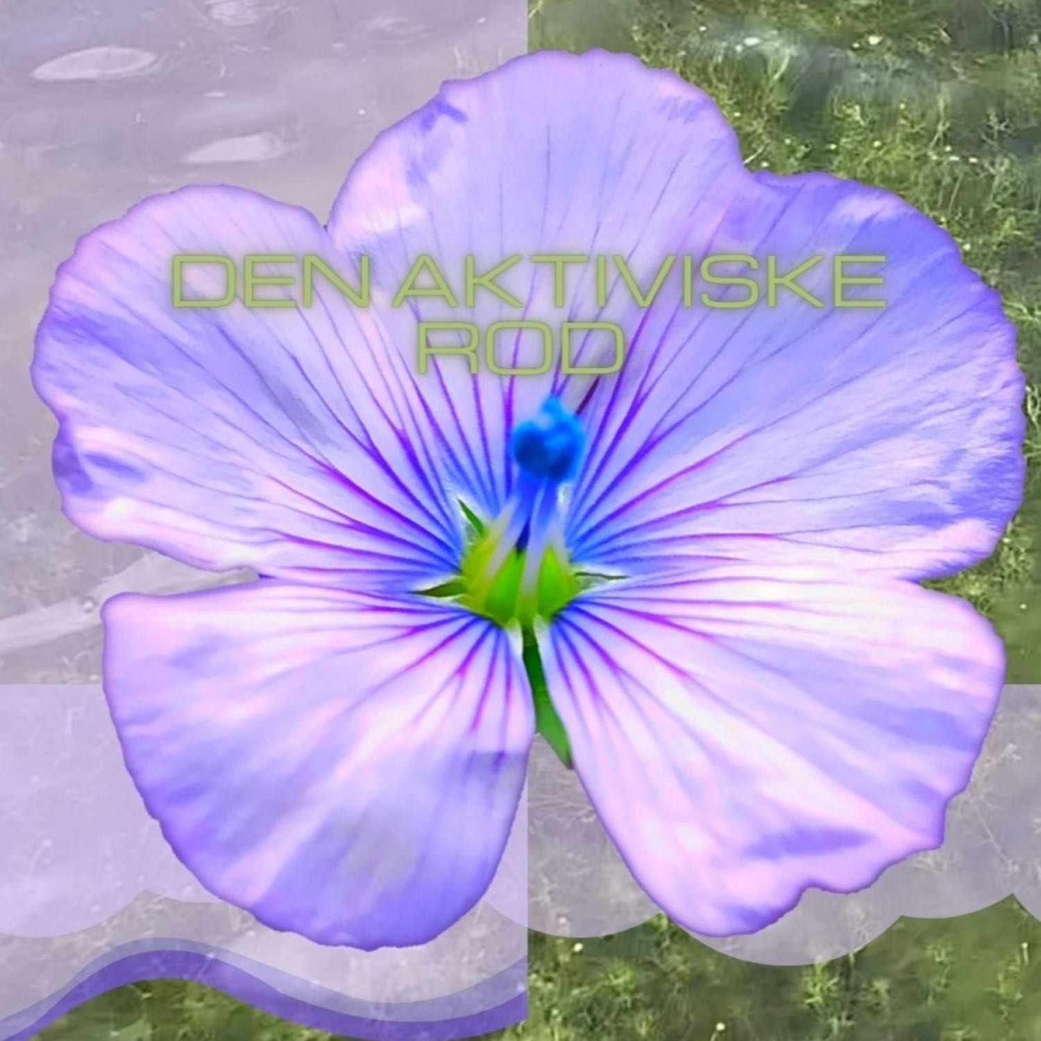 Den Aktivistiske Rod af Rebekka og Lucca