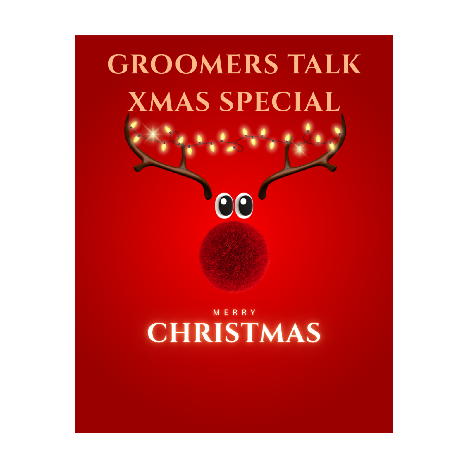 Groomers Talk Christmas Special episode artwork