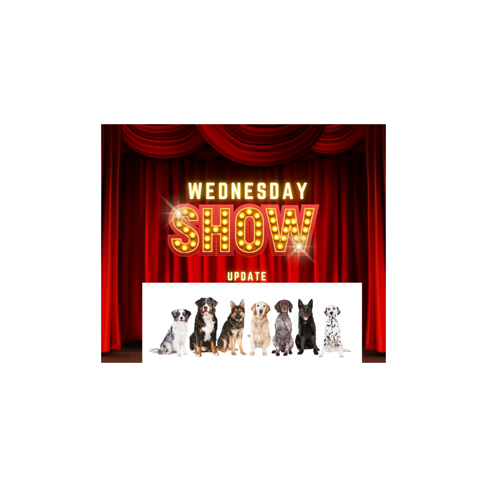 Wednesday Show Update episode artwork