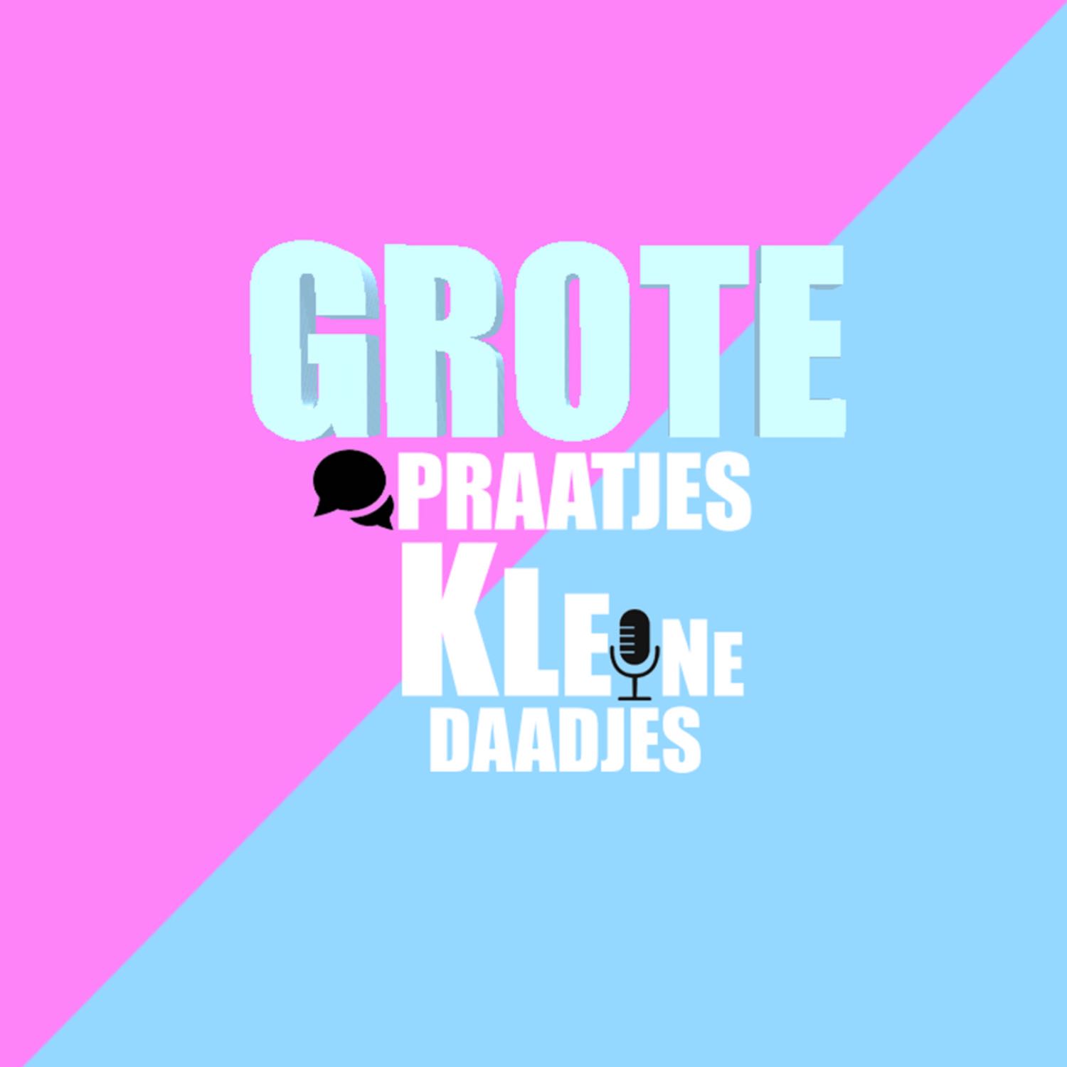 Grote praatjes, kleine daadjes 