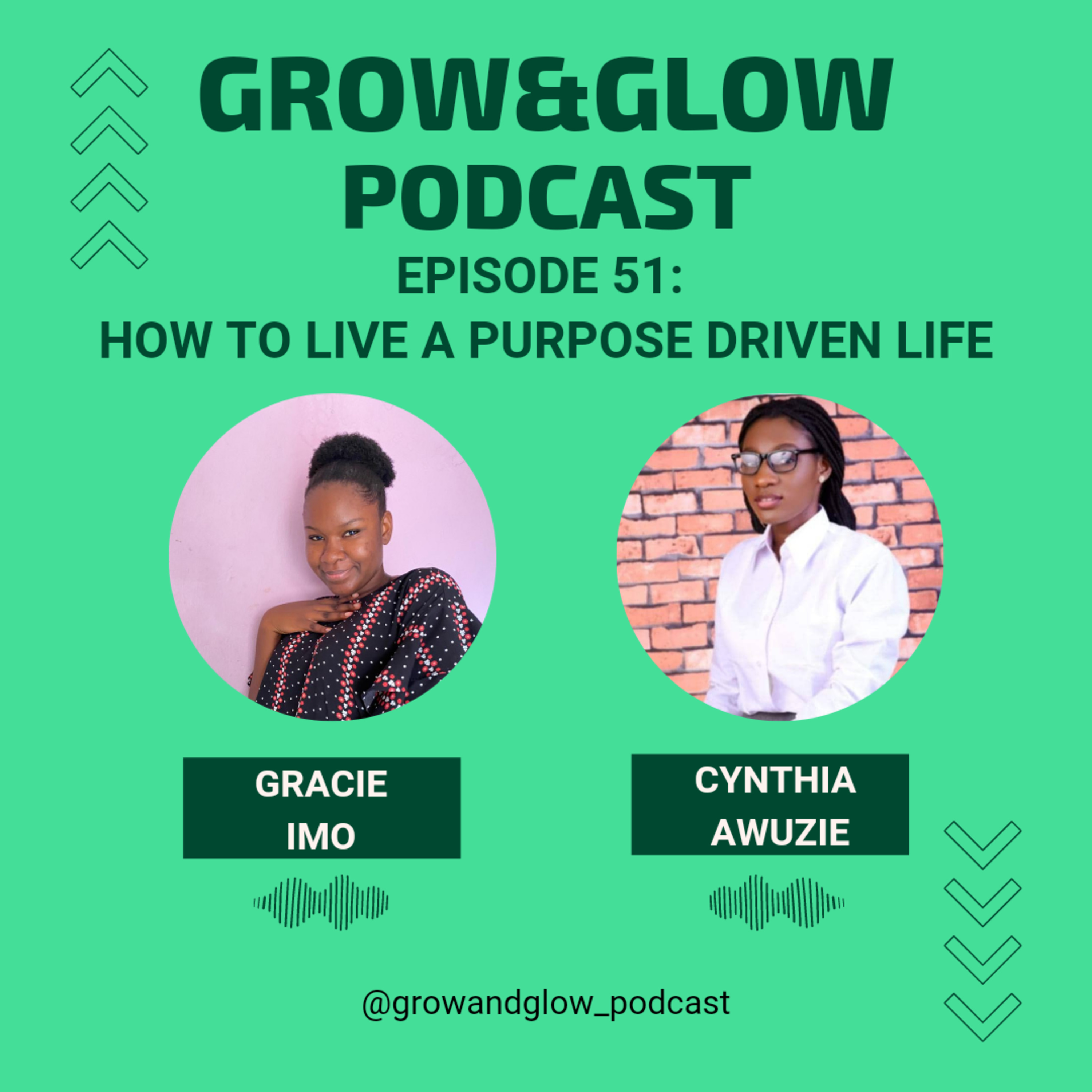 How to live a purpose driven life Ft. Cynthia Awuzie episode artwork