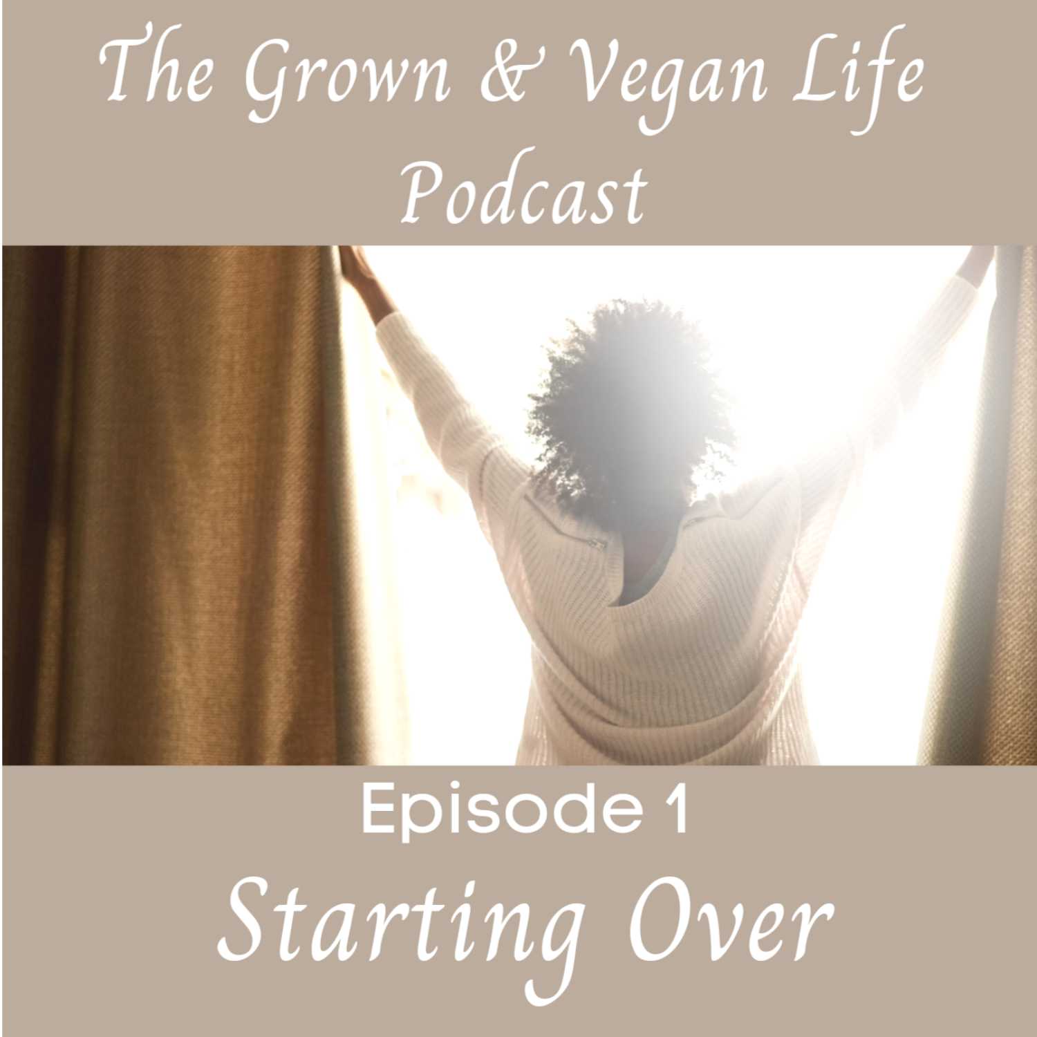 Starting Over episode artwork