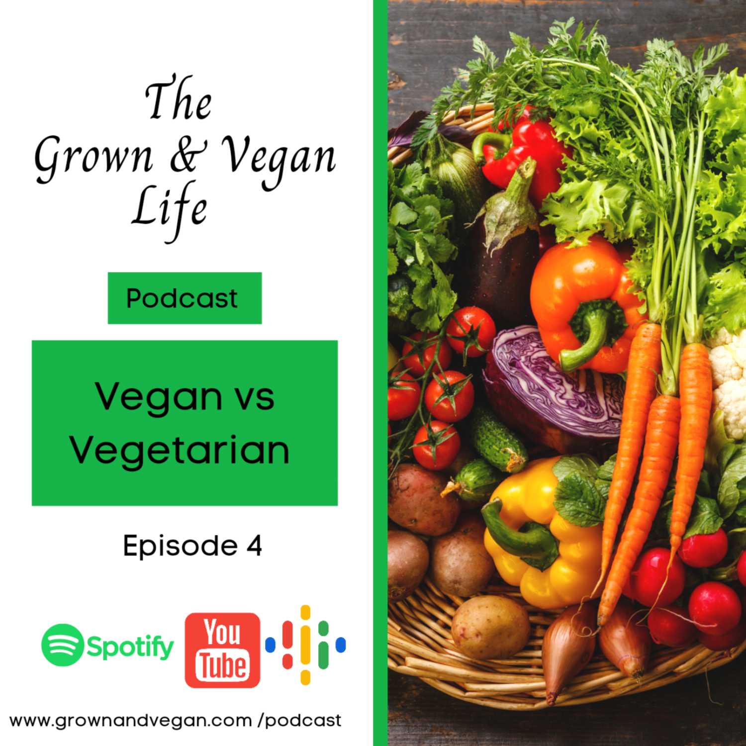 Vegan vs Vegetarian 
