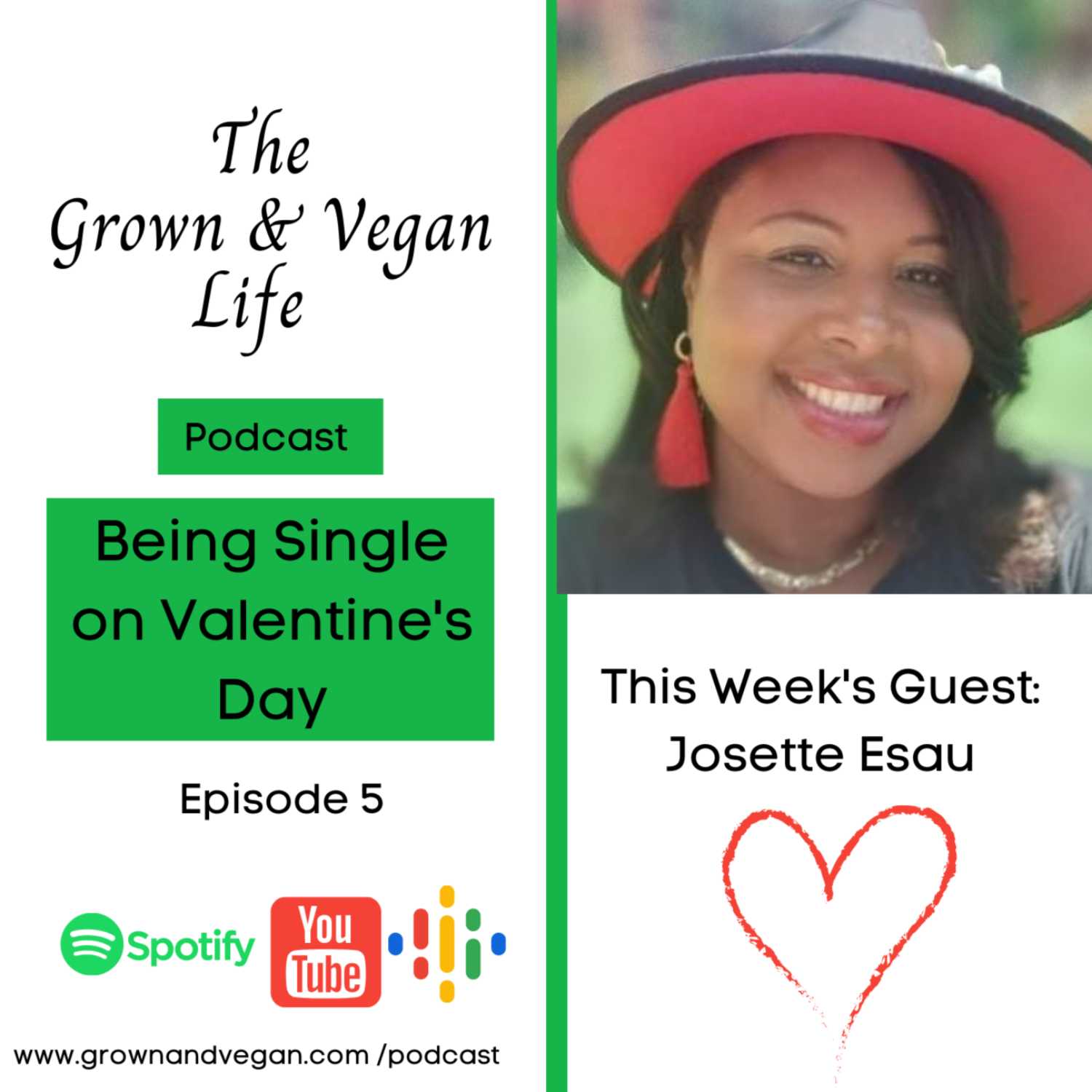 Being Single on Valentine's Day  episode artwork