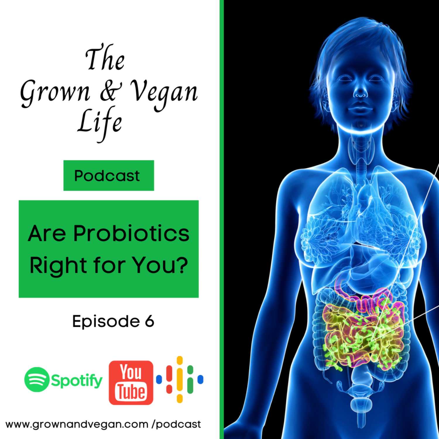 Are Probiotics Right for You? episode artwork