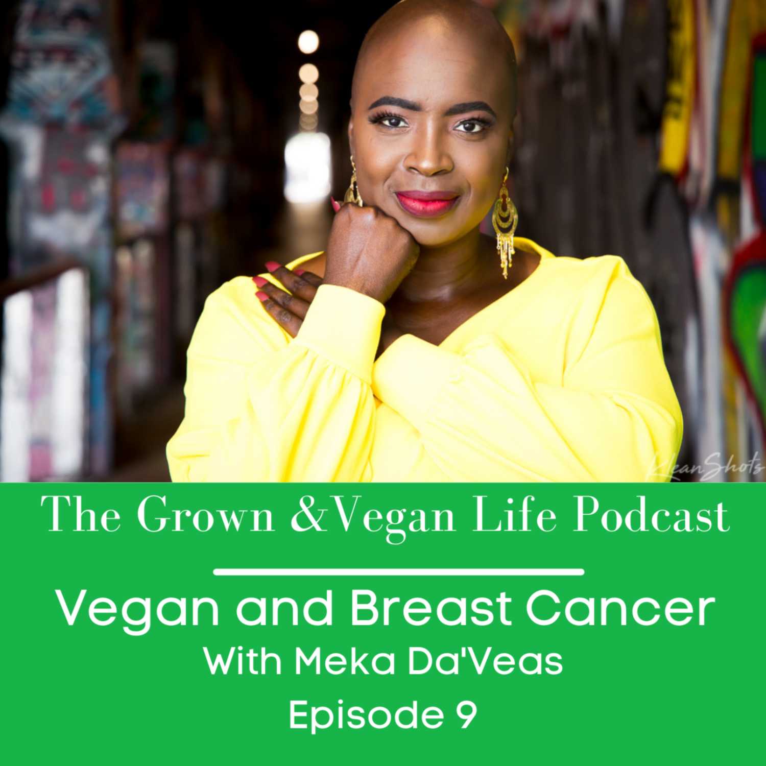 Vegan and Breast Cancer  episode artwork