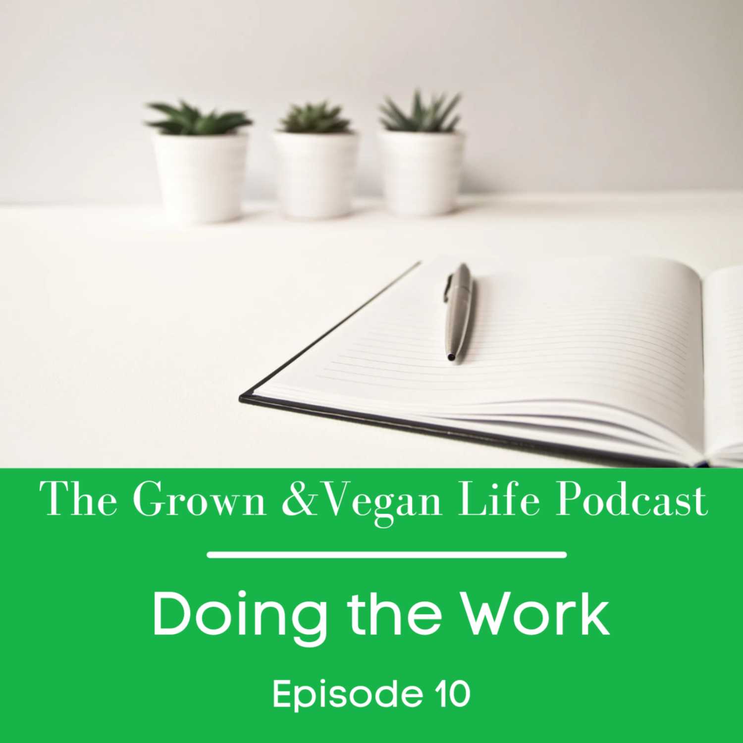 Doing the Work  episode artwork