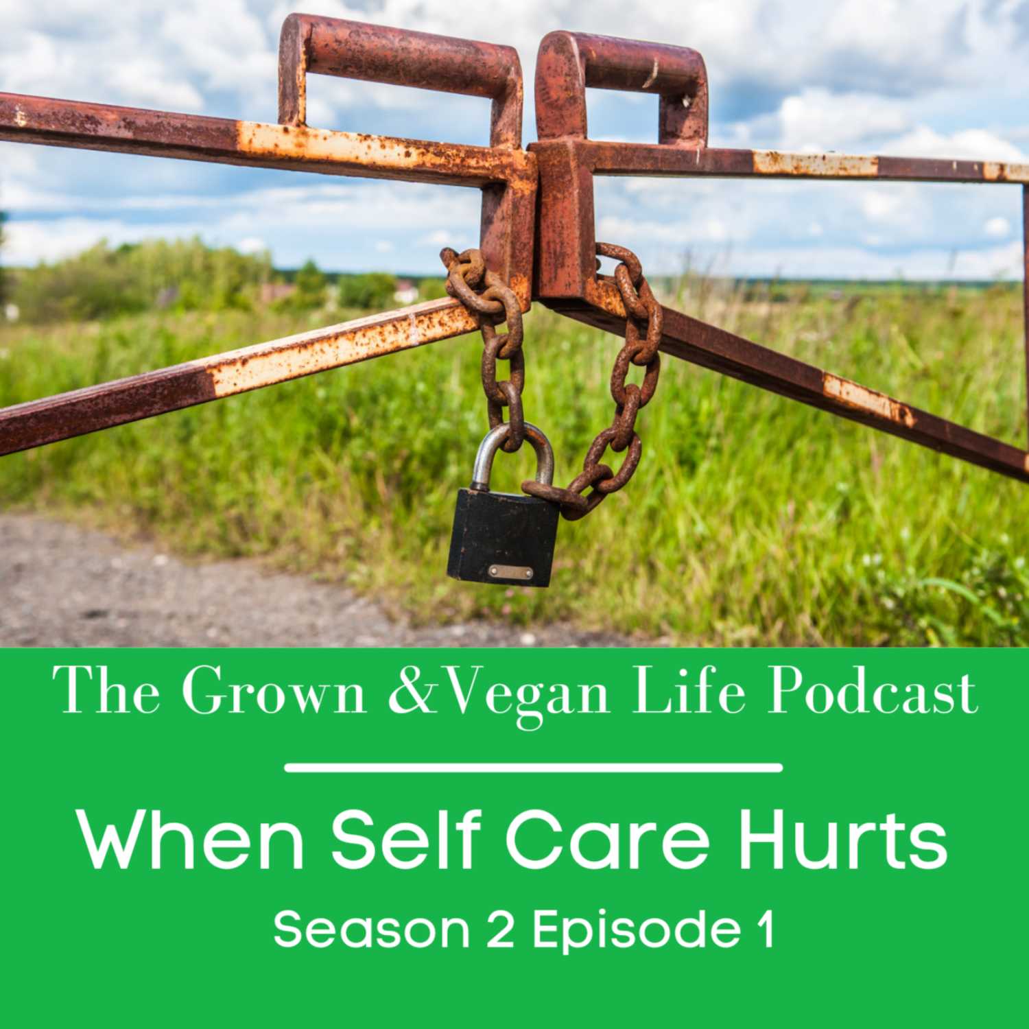 When Self Care Hurts episode artwork