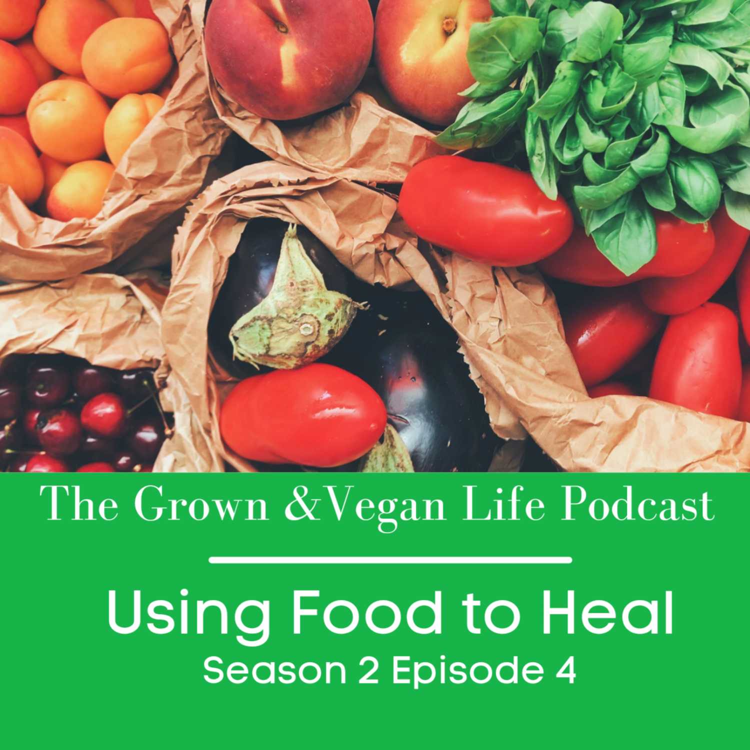 Using Food to Heal episode artwork