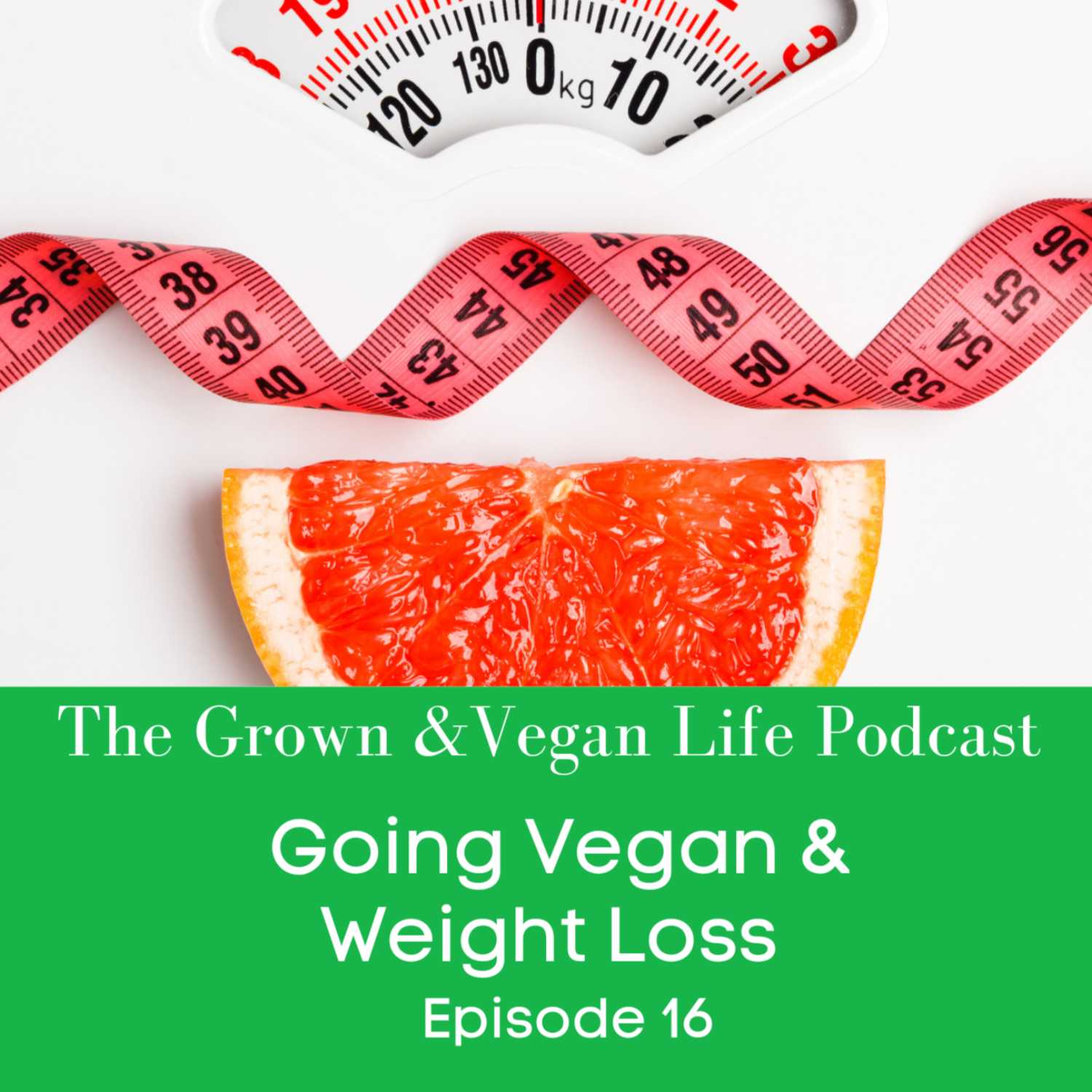 Going Vegan & Weight Loss  episode artwork