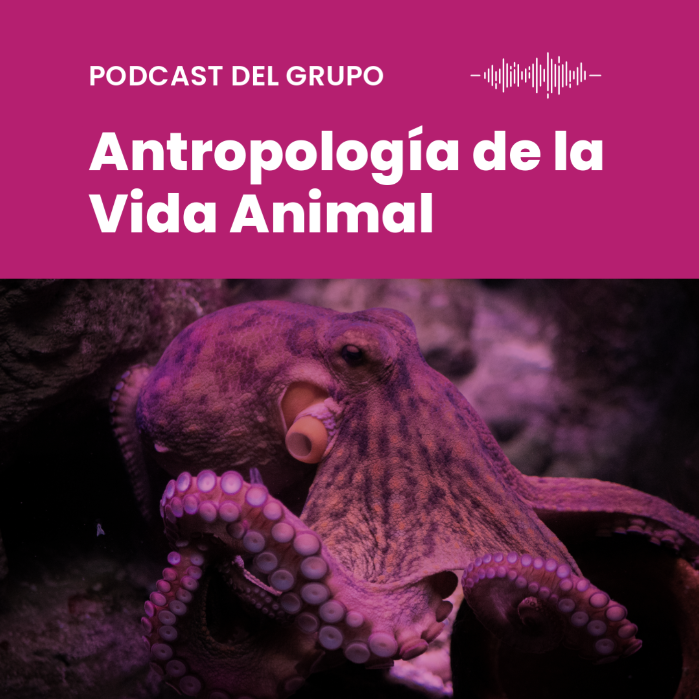 Podcast del Grupo de Investigación Antropología de la Vida Animal