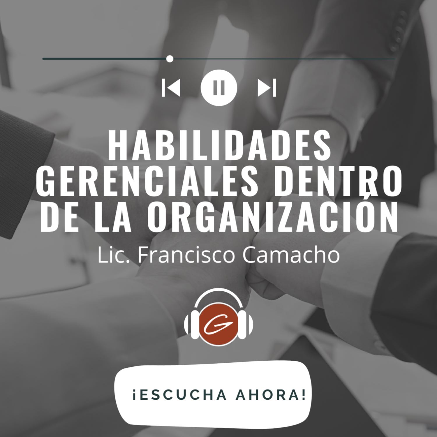 Habilidades Gerenciales Dentro de la Organización