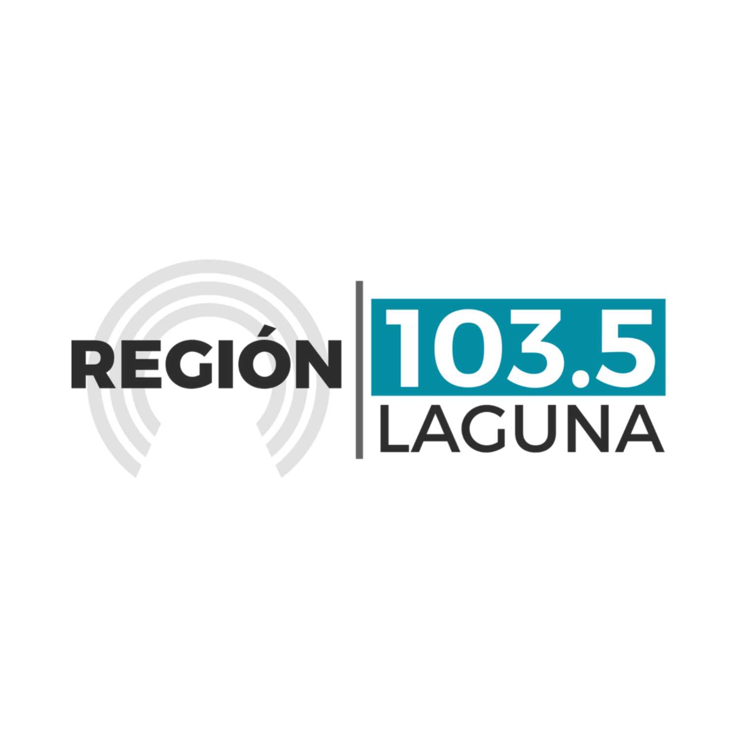 Región Informa Laguna / 13 de Enero de 2023 episode artwork