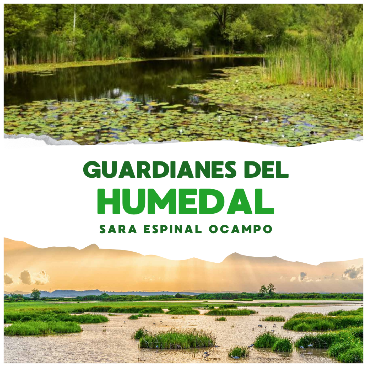 Guardianes del Humedal: Conservando Nuestro Tesoro Natural