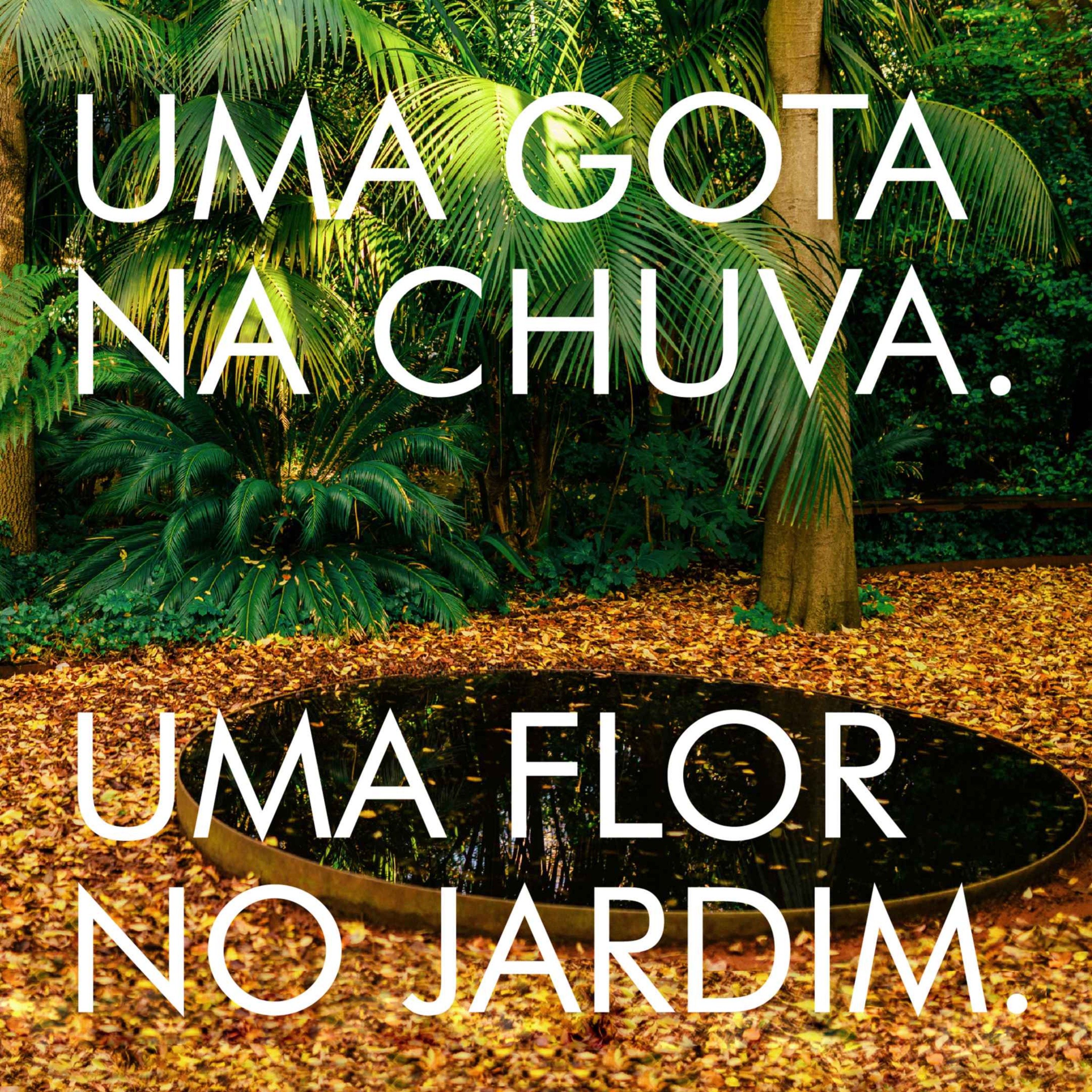 Uma gota na chuva. Uma flor no jardim