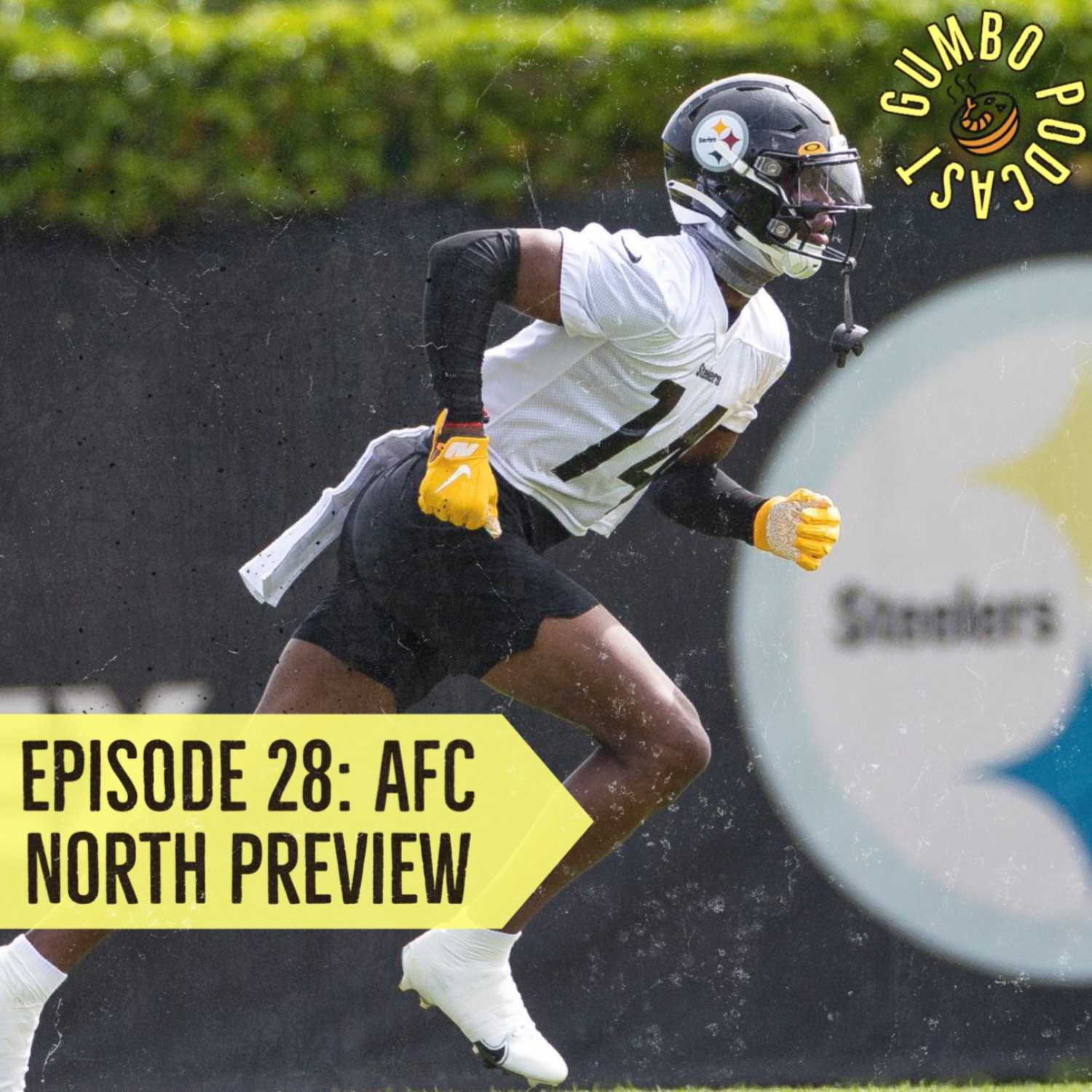 Episode 28: AFC North Preview
