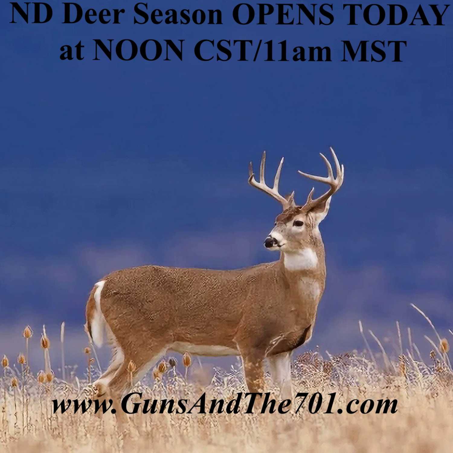 Guns & The 701 - www.GunsAndThe701.com