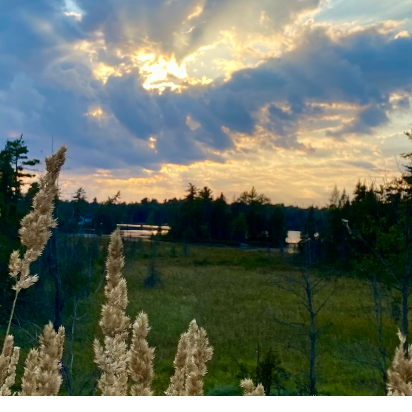 Rooted in Gwekwaadziwin: Episode 7 – Dr. Jules Koostachin