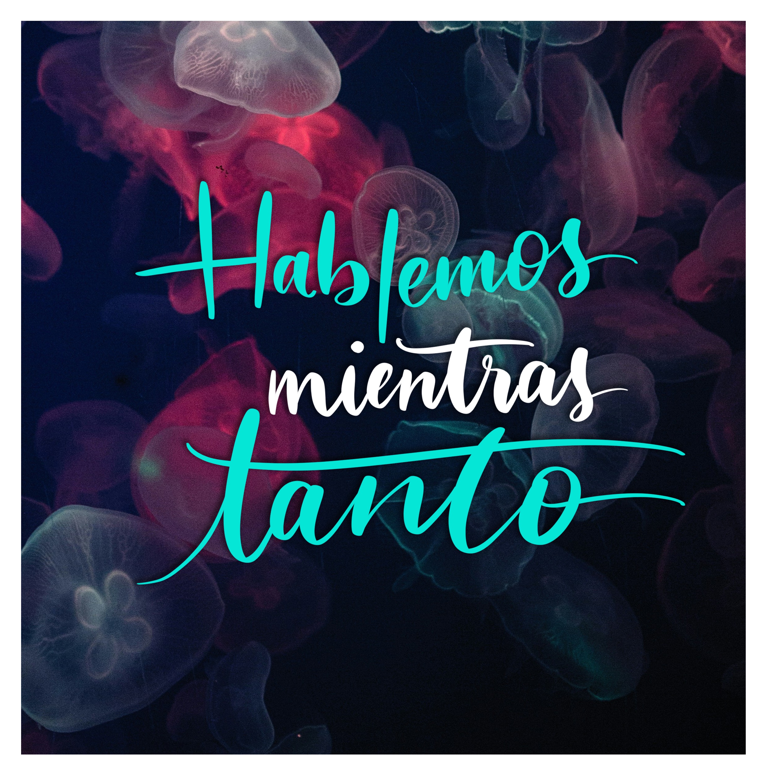 Hablemos mientras tanto