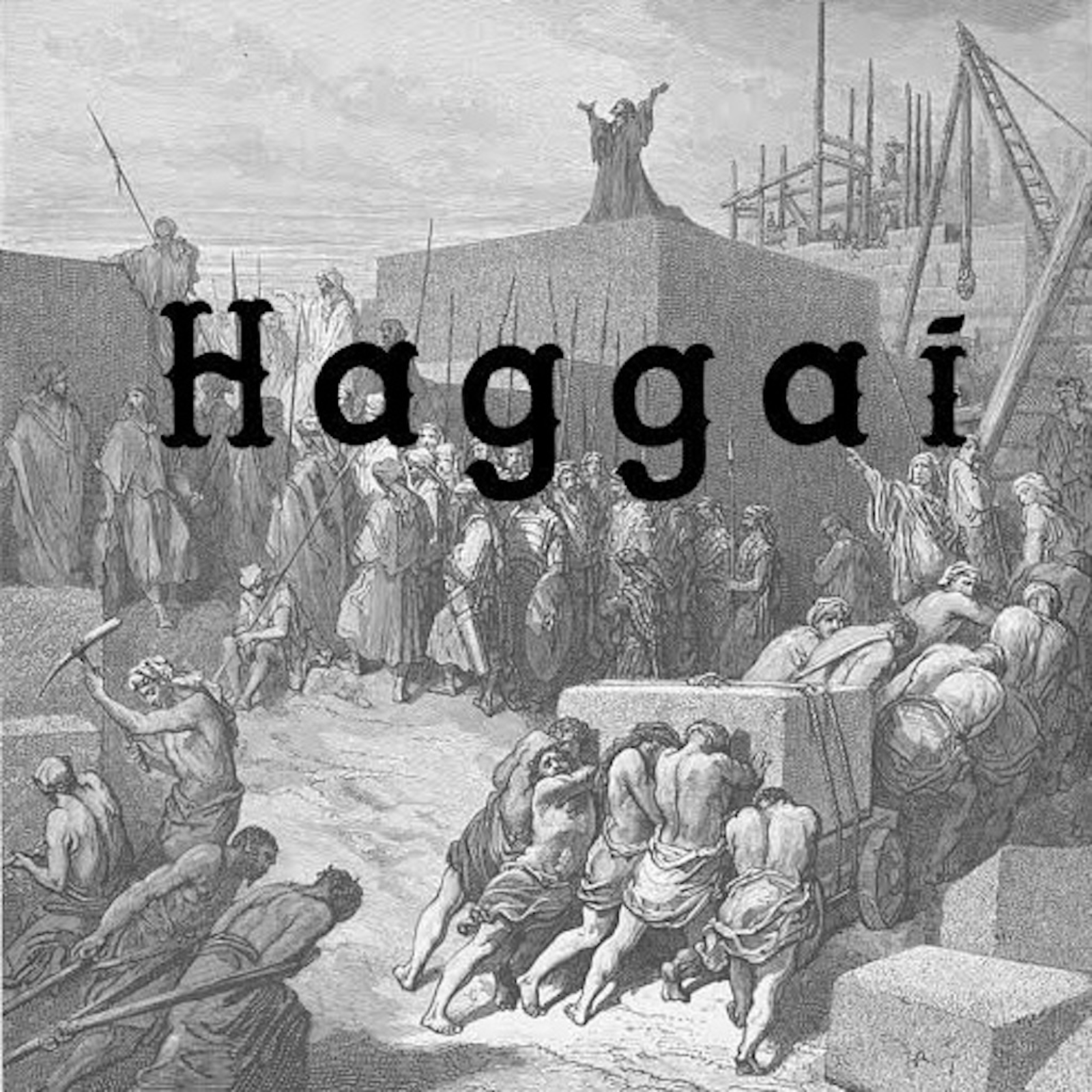Haggai sermons 20260900 podcast artwork