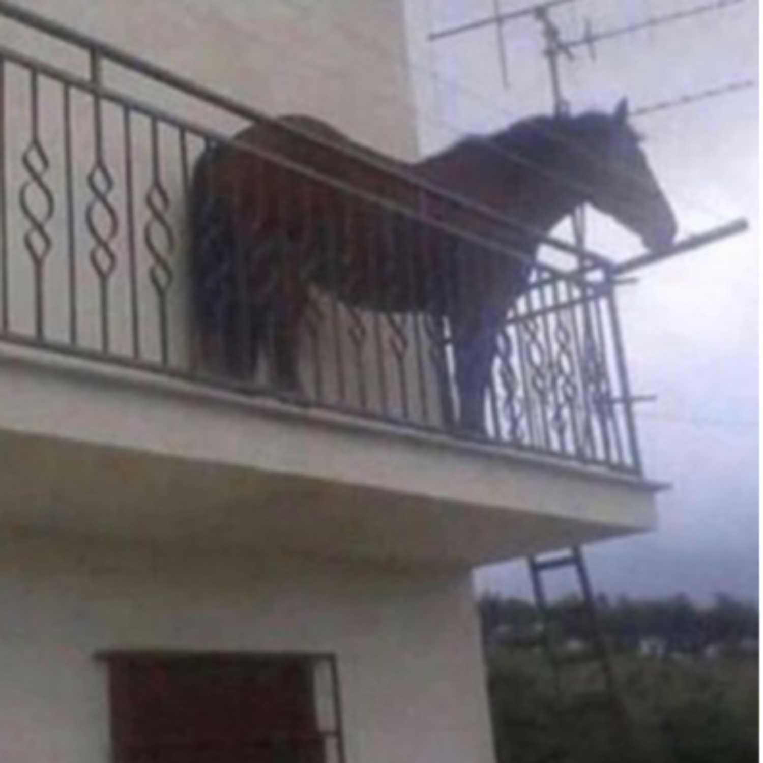 swedzieduralajt remix cover art