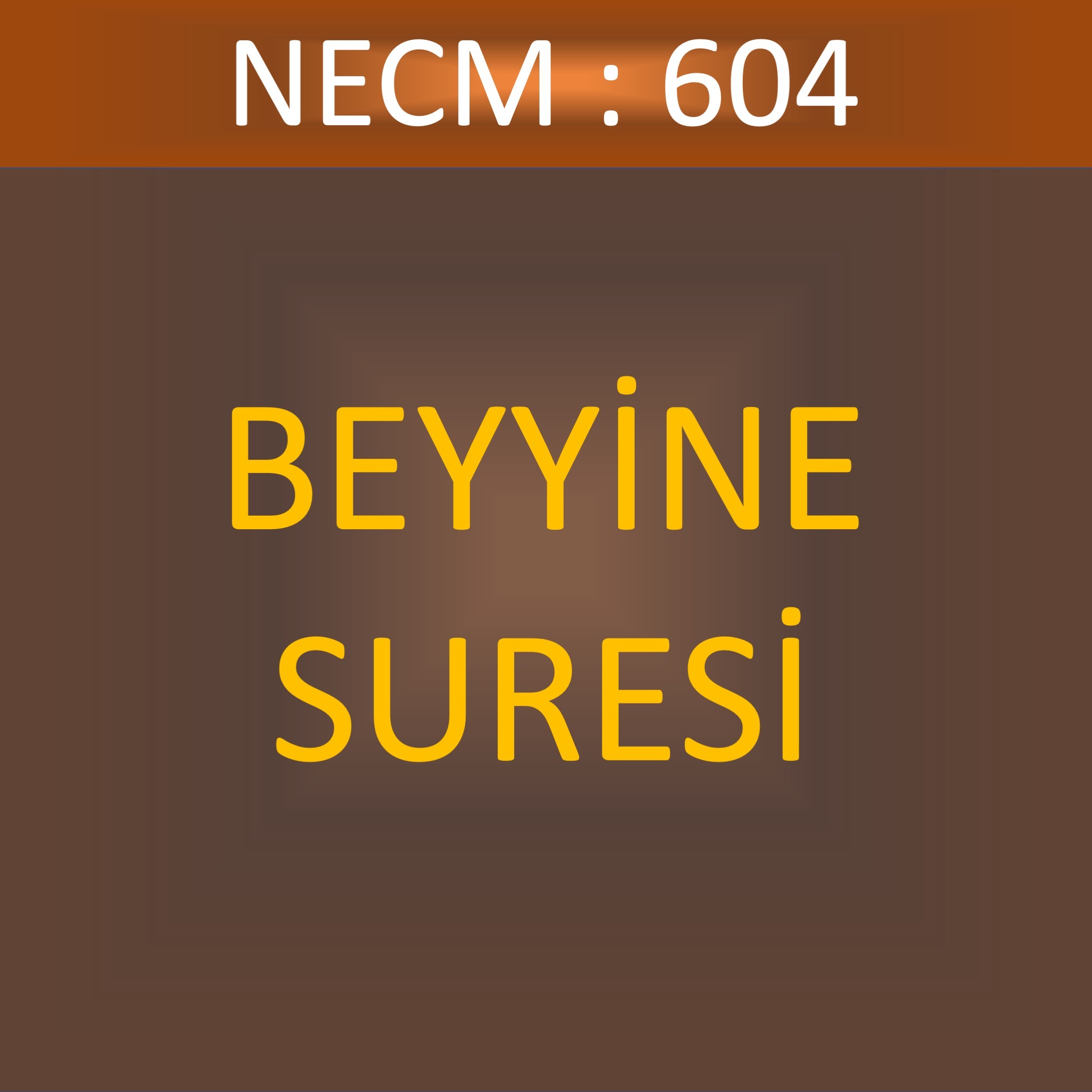 100 - BEYYİNE SÛRESİ 604 100 - BEYYİNE SÛRESİ 604