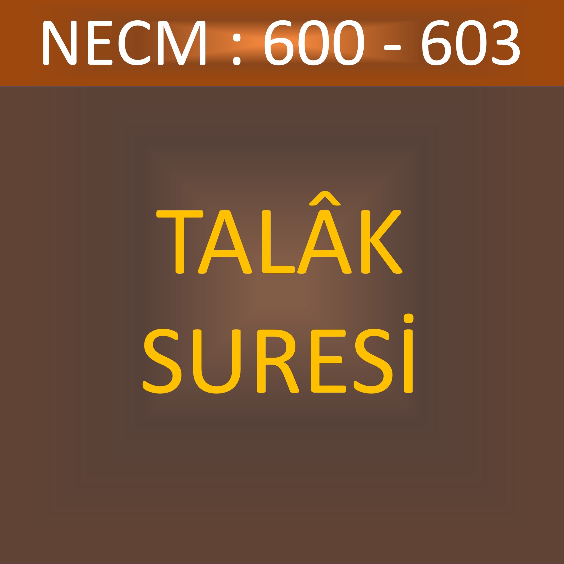 99 - TALÂK SÛRESİ 600-603 99 - TALÂK SÛRESİ 600-603