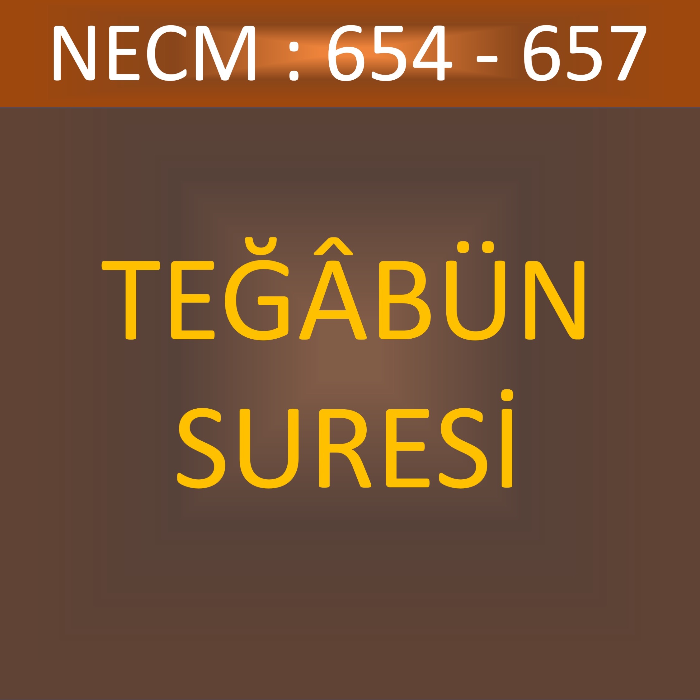 108 - TEĞÂBÜN SÛRESİ NECM 654-657 108 - TEĞÂBÜN SÛRESİ NECM 654-657