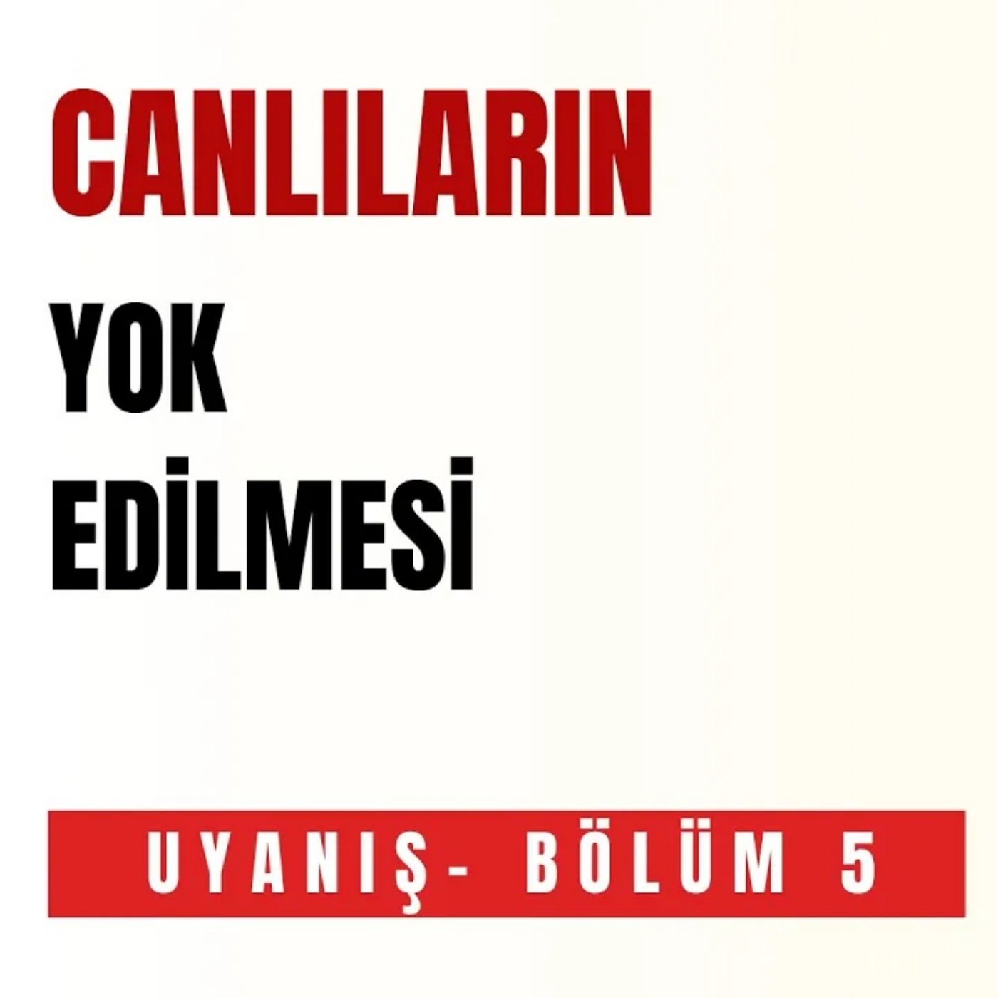 UYANIŞ