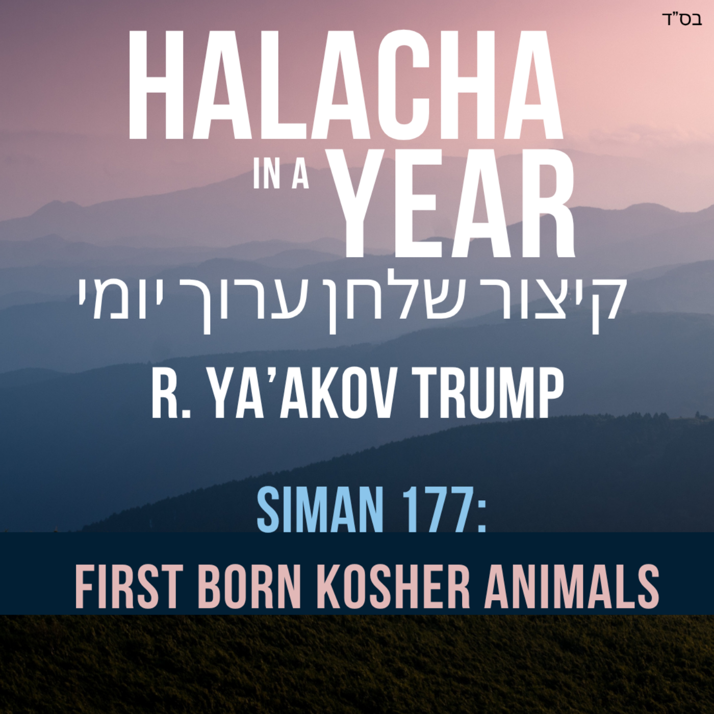 Siman 177 - First Born Kosher Animals