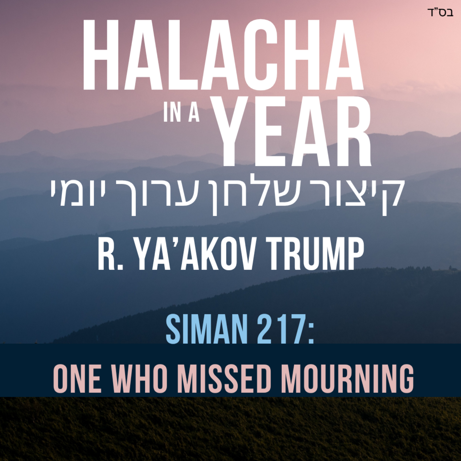 Siman 217 - One who missed Mourning