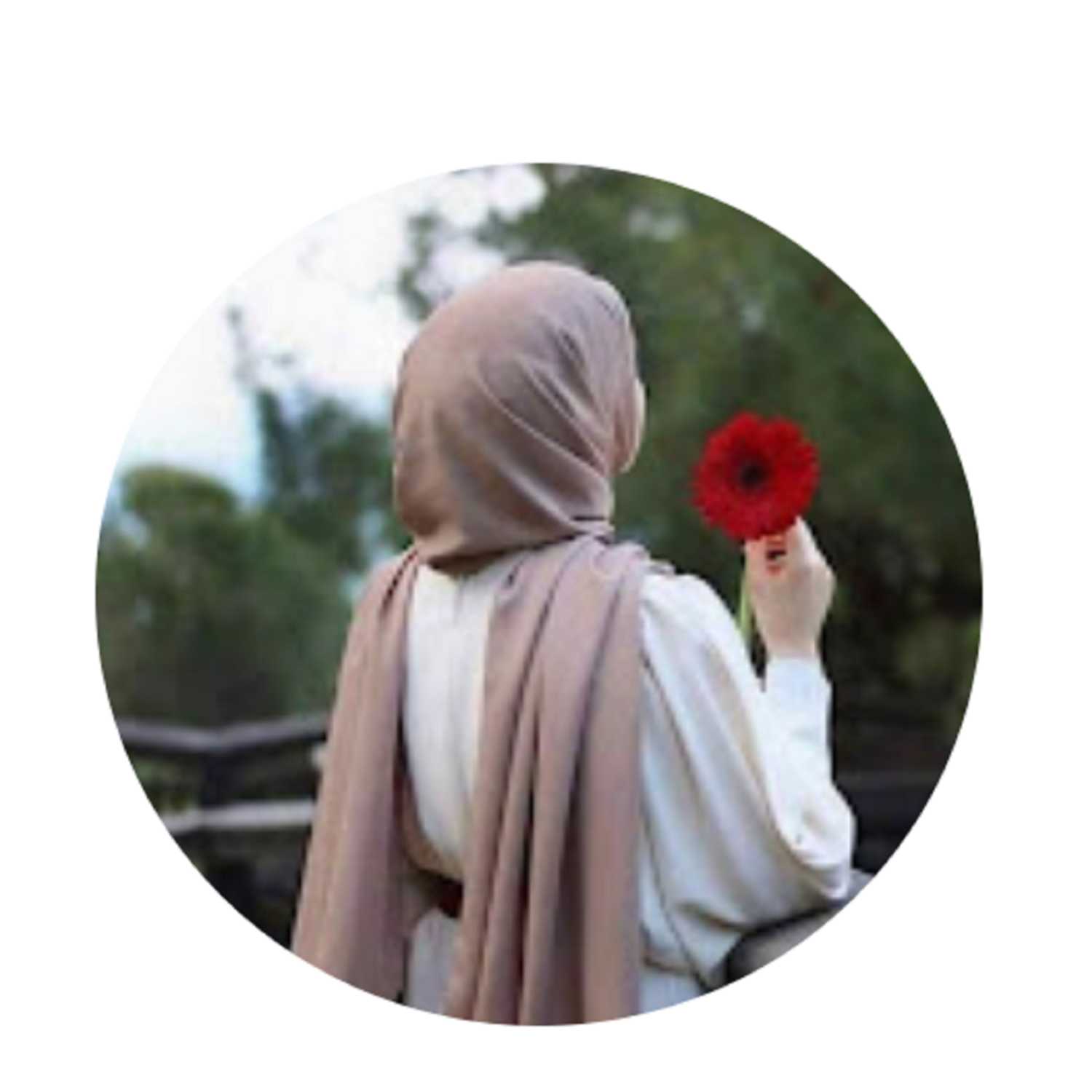 هالة تيوب