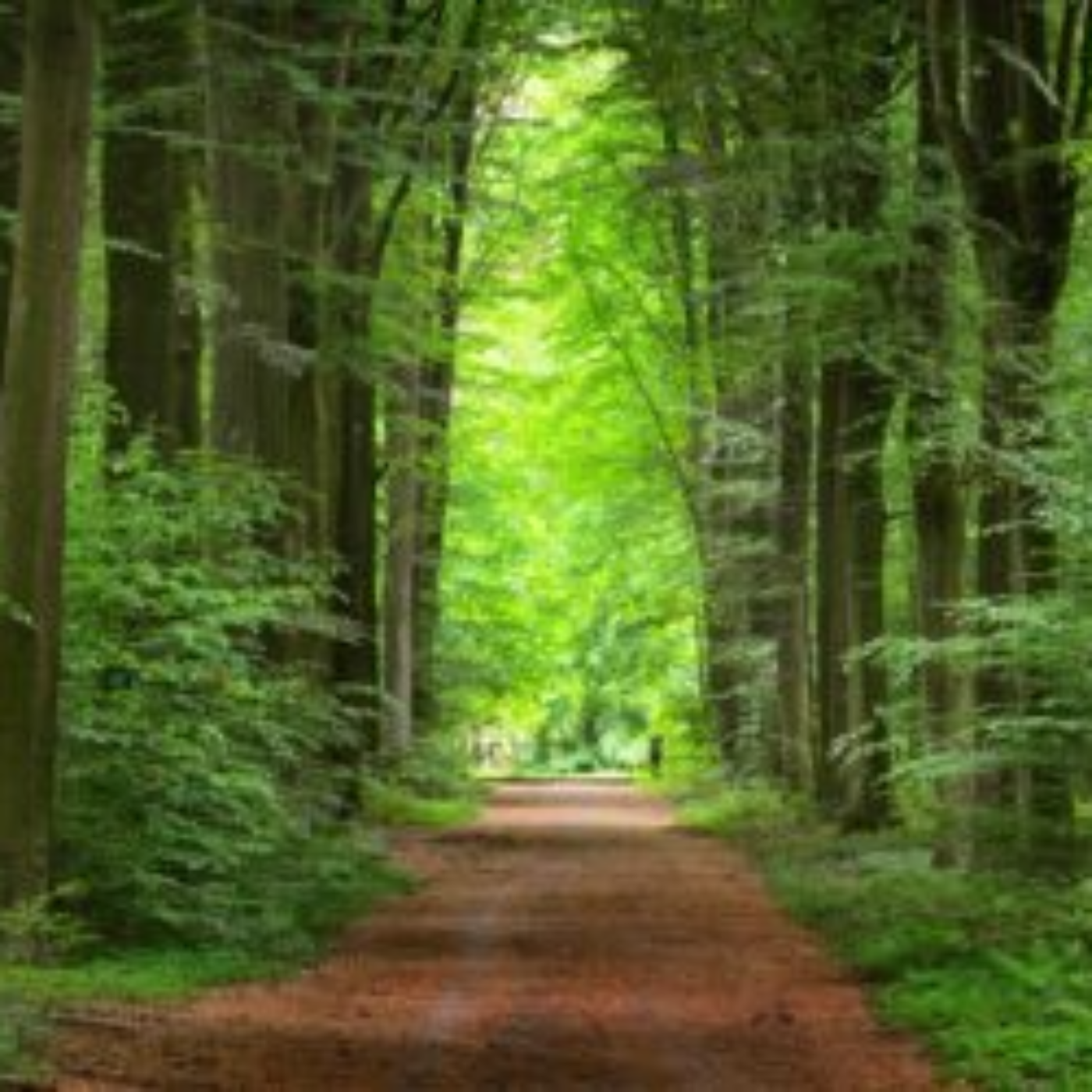 News from Happy 50 Plus