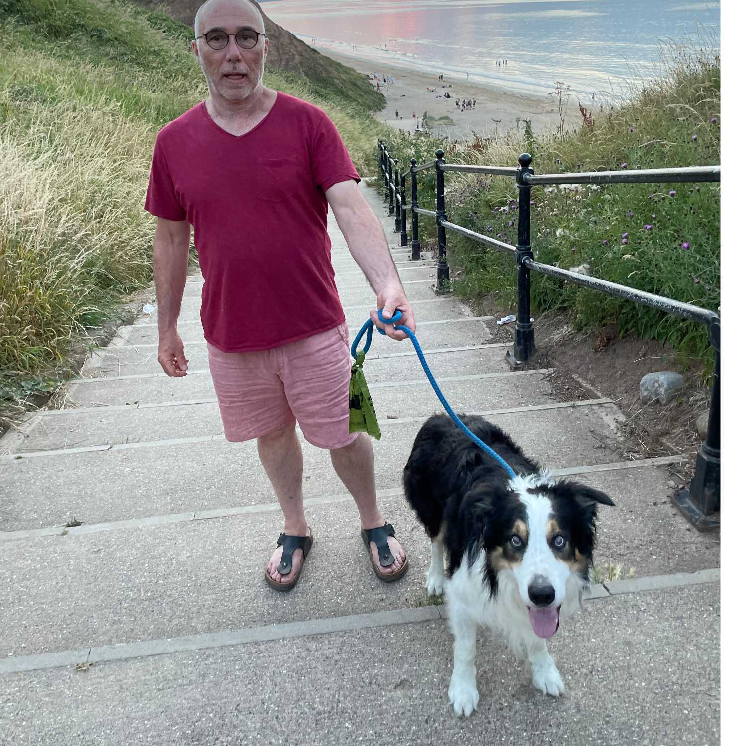 Walking Into Wisdom - Reflections of a Buddhist Dog Walker
