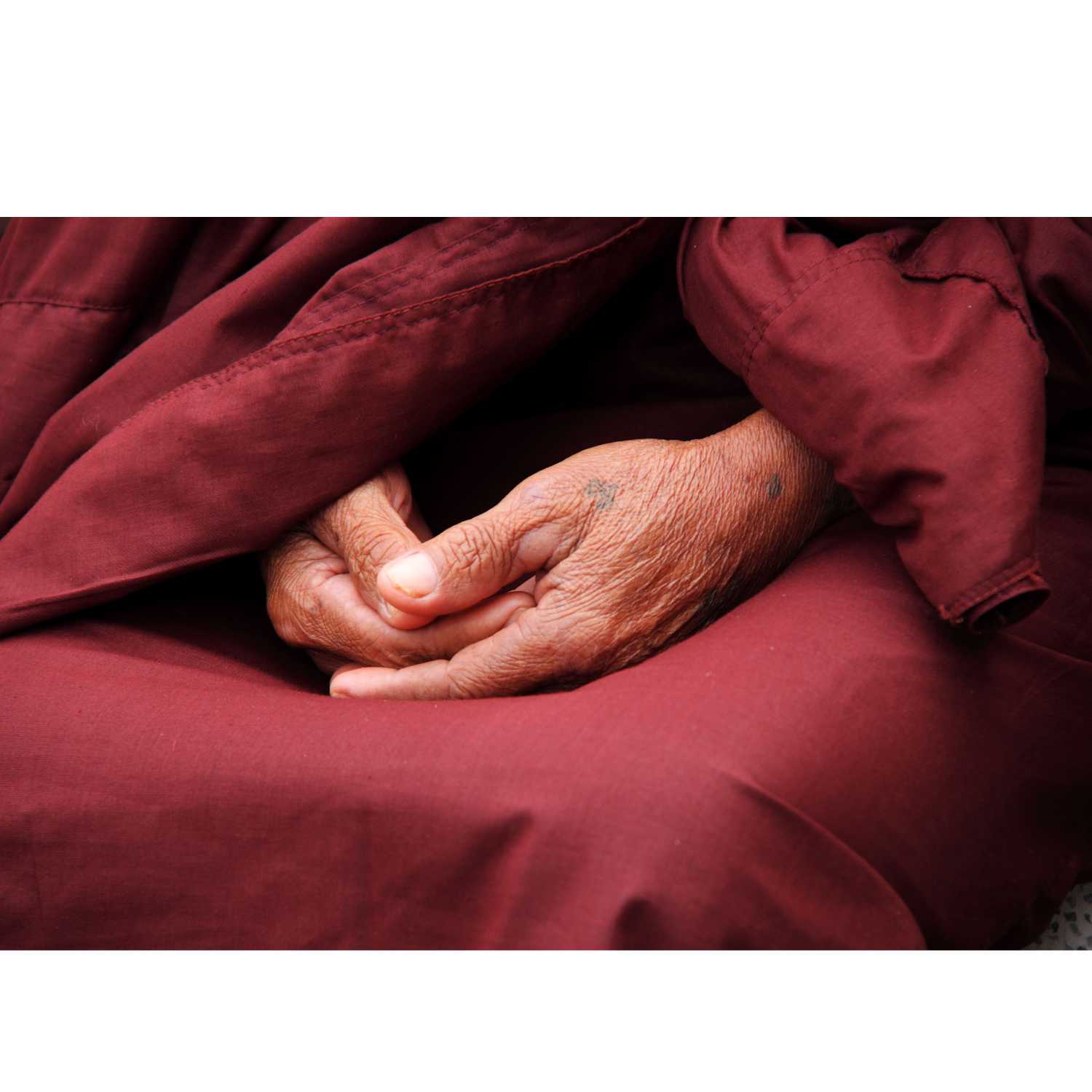 Walking Into Wisdom - Reflections of a Buddhist Dog Walker