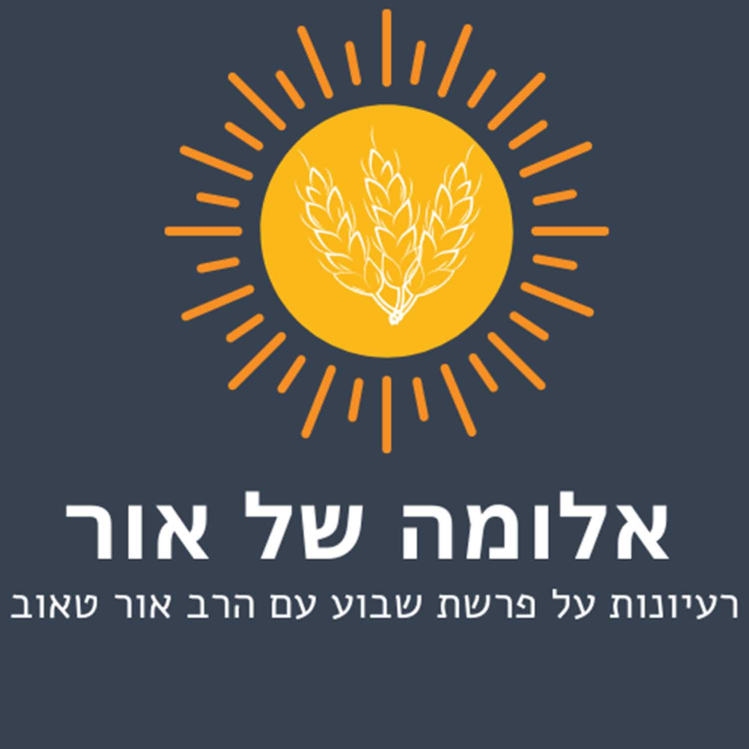 אלומה של אור - פרשת בראשית | מתחילים  מהתחלה episode artwork