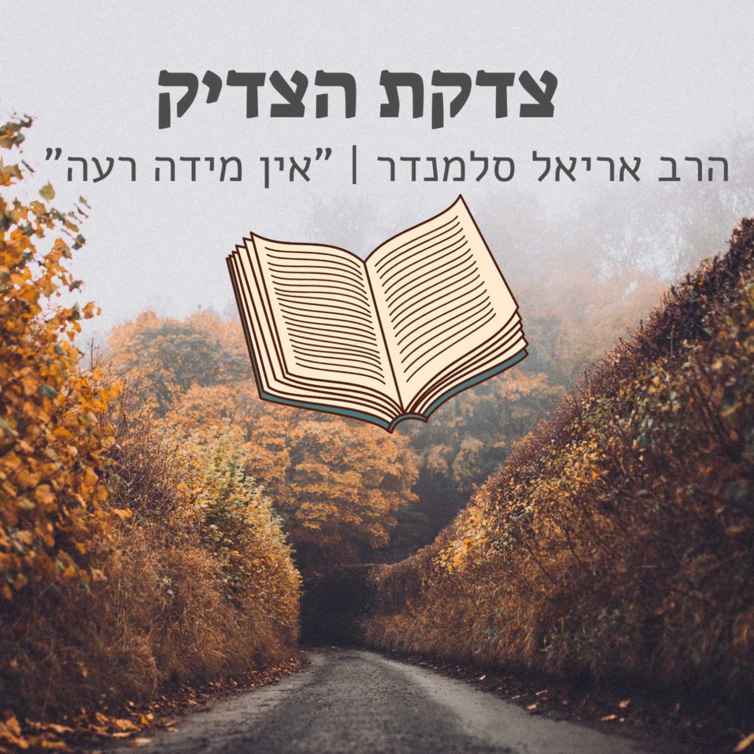 הרב אריאל סלמנדר - צדקת הצדיק | פרשת תולדות - ישיבת א"ש קודש episode artwork
