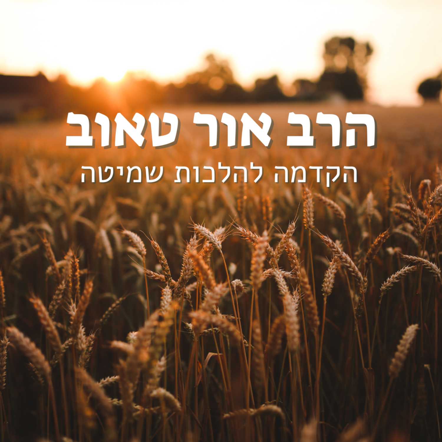 הרב אור טאוב - "הקדמה להלכות שמיטה" | ישיבת א"ש קודש episode artwork