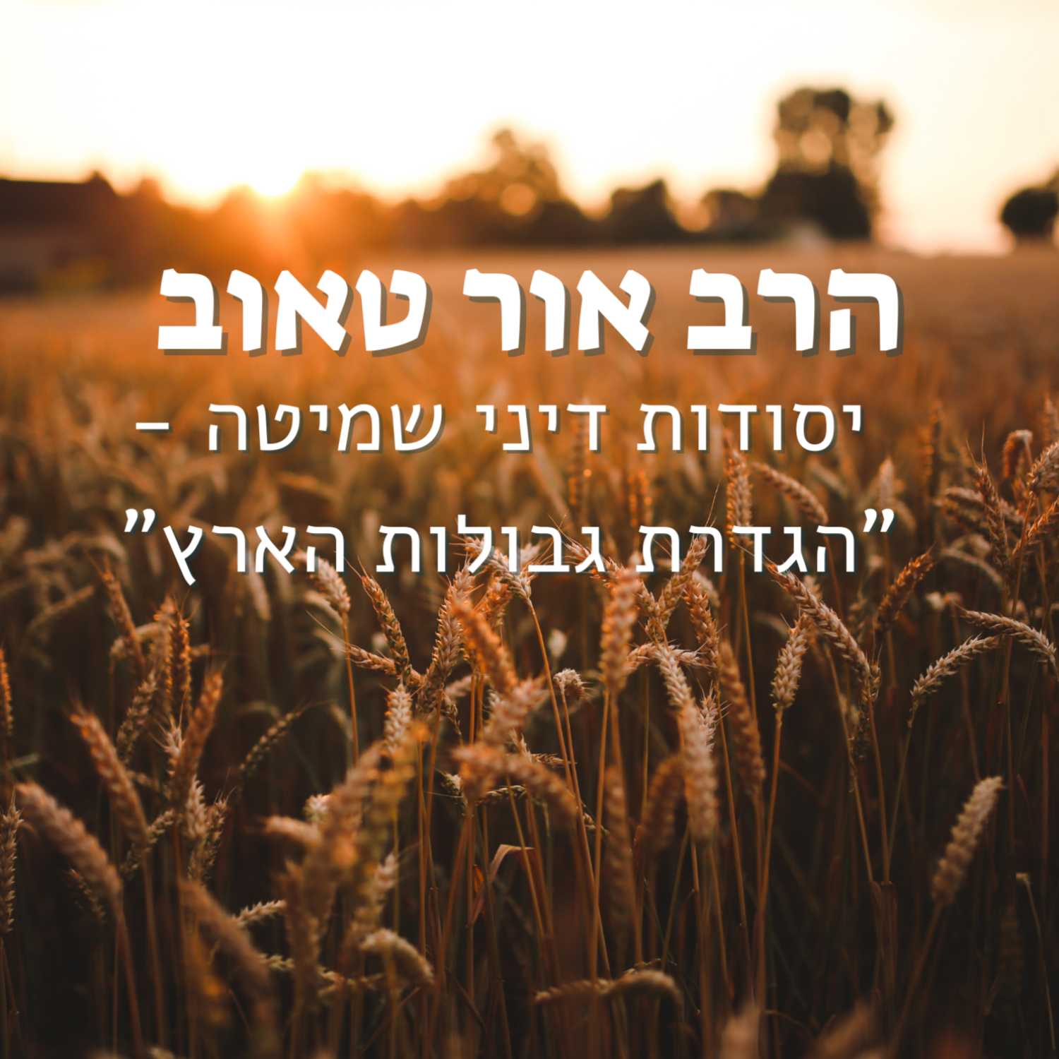 הרב אור טאוב | יסודות דיני שמיטה - "הגדרת גבולות הארץ" (ב) | נהורא episode artwork