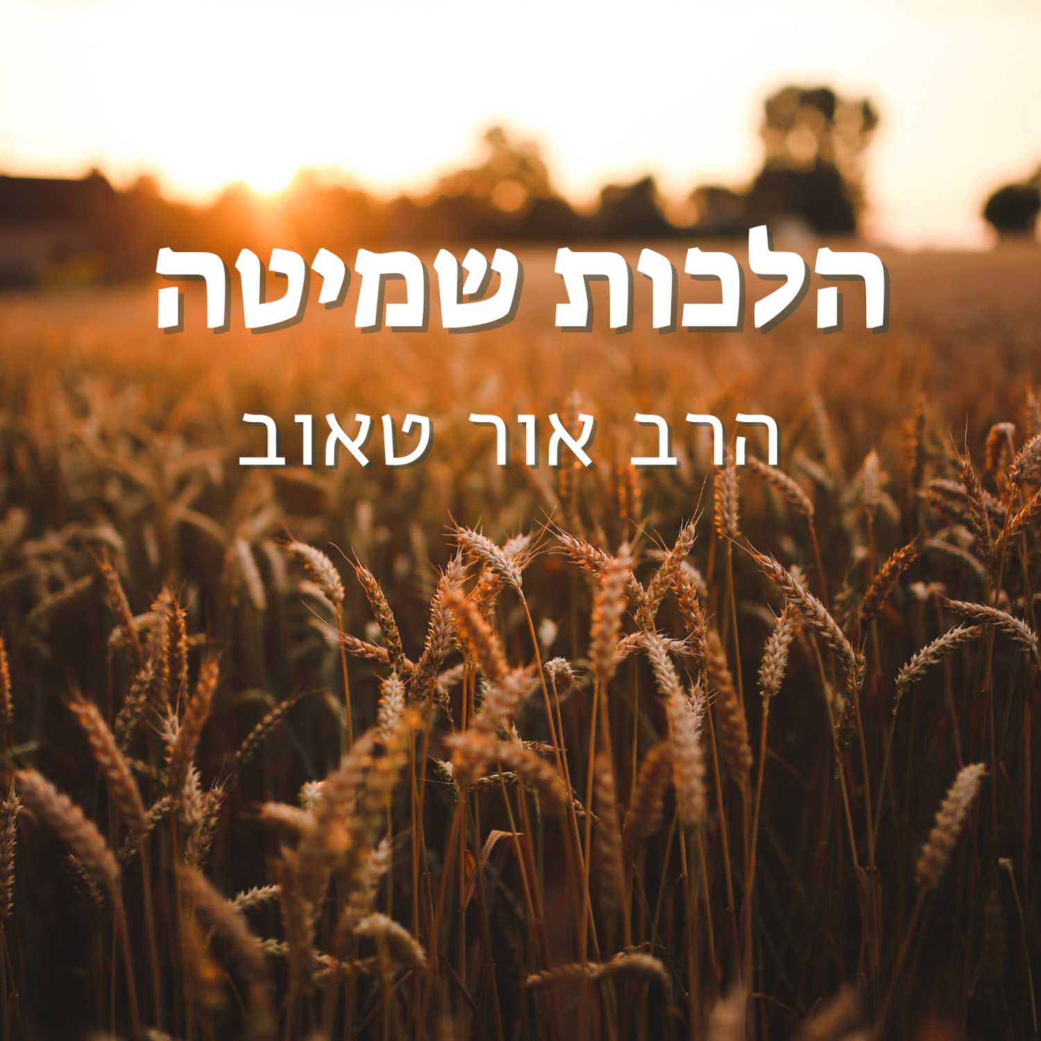הרב אור טאוב | יסודות דיני שמיטה - "זריעה ונטיעה" (ג) | נהורא episode artwork