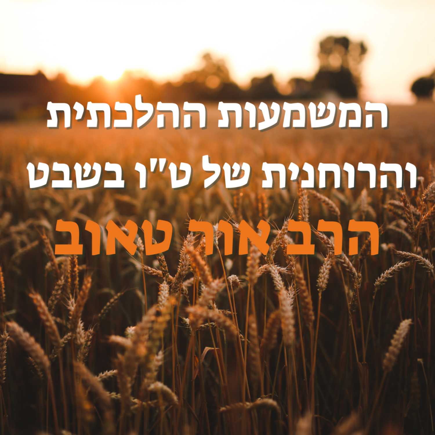 "לב של עץ" - המשמעות ההלכתית והרוחנית של ט"ו בשבט | הרב אור טאוב | נהורא