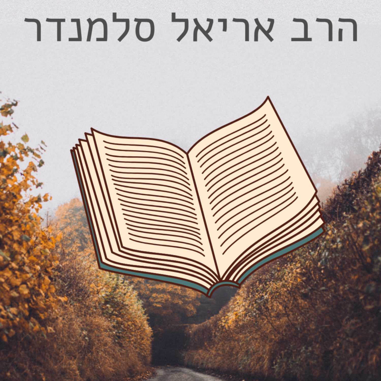 הנחמה האמתית | פרשת מטות - הרב אריאל סלמנדר | ישיבת א"ש קודש episode artwork