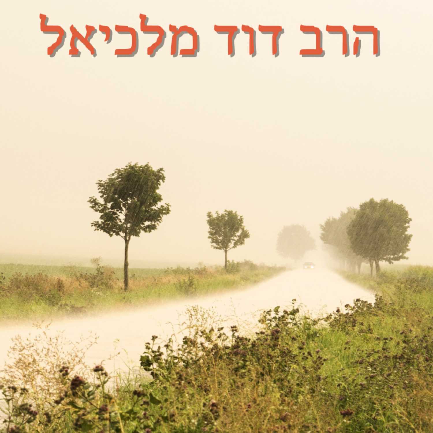 התשובה במשנתו של ר' נחמן | אלול- הרב דוד מלכיאל | ישיבת א"ש קודש episode artwork