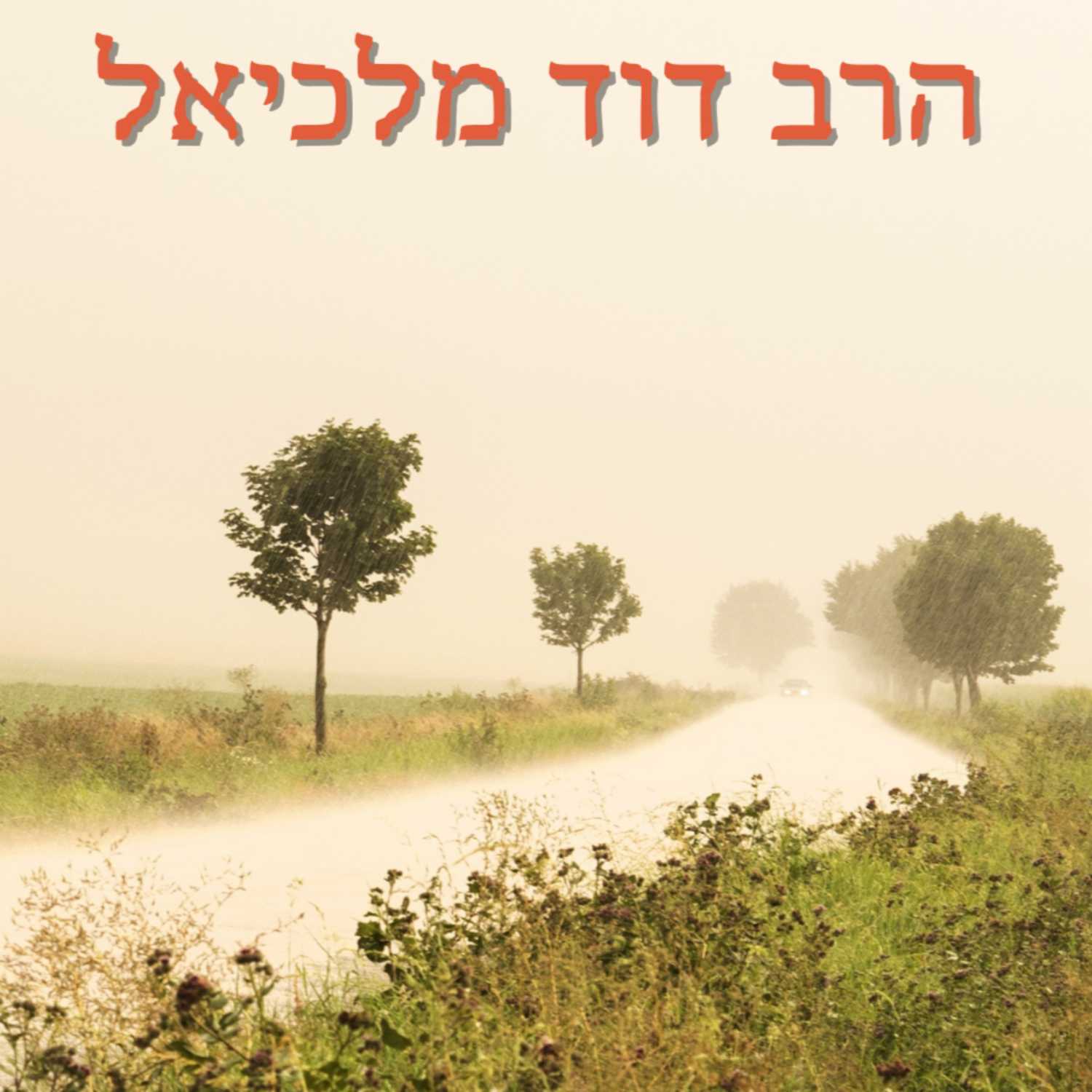 כל הבירורים - במחשבה | אלול- הרב דוד מלכיאל | ישיבת א"ש קודש episode artwork